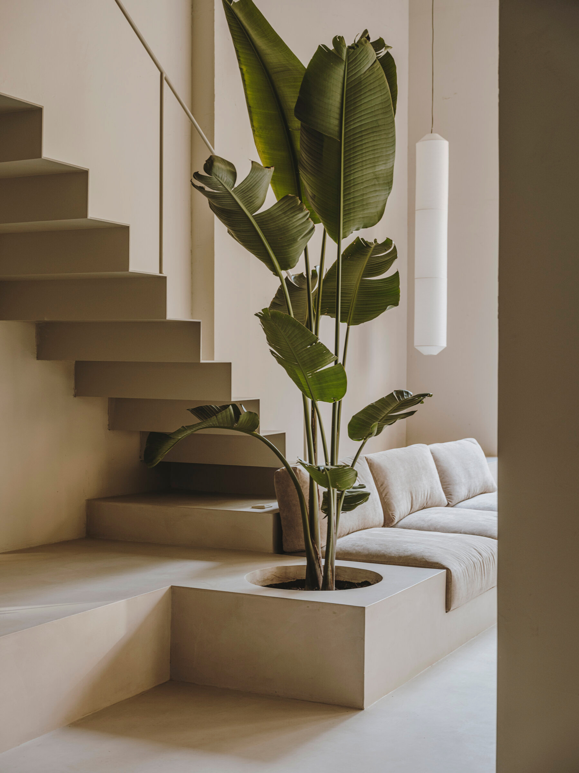 38017 96bd61ea78 Sixnfive Showroom Salva Lopez Tekio Dsf1485 X2400 Portrait