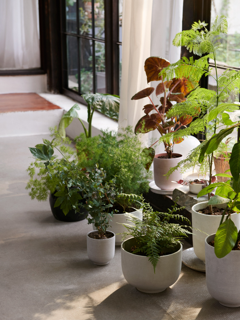 Collect Planter Pot Tall - Sienna