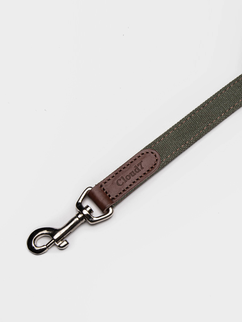 Leash Tivoli - Canvas/Leather - Olive