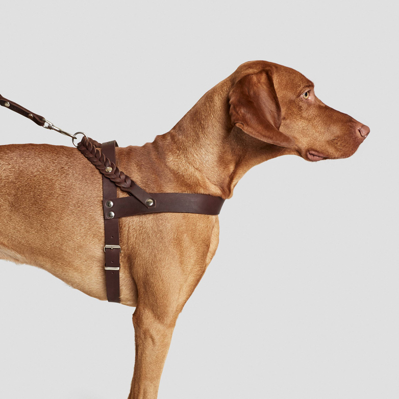 Harness Central Park - Saddle Brown