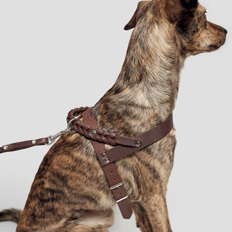 Harness Central Park - Saddle Brown