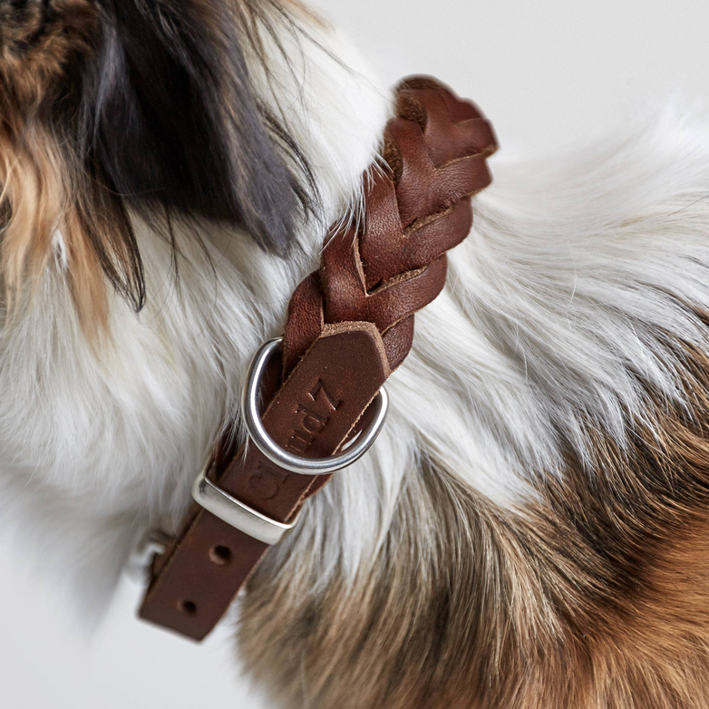 Collar Central Park - Saddle Brown
