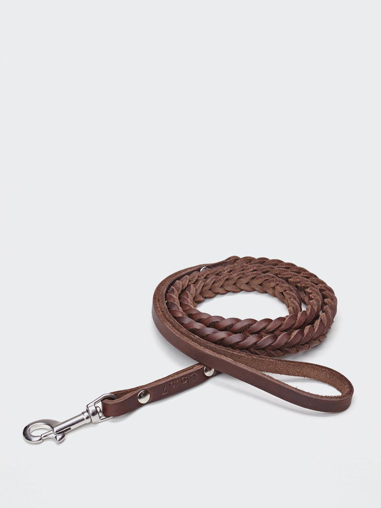 Leash Central Park - Saddle Brown
