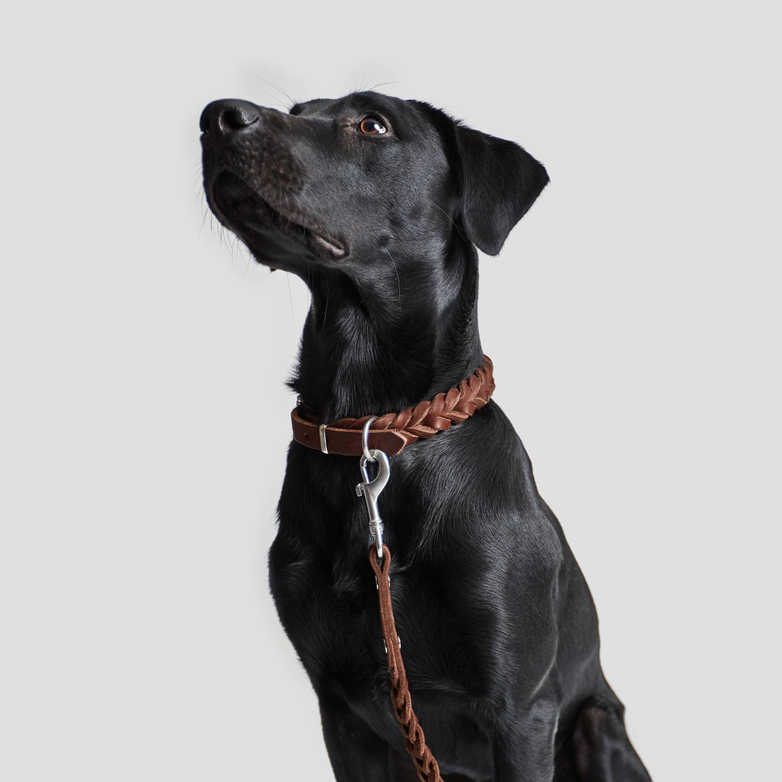 Leash Central Park - Saddle Brown