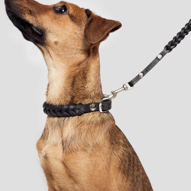 Collar Central Park - Black