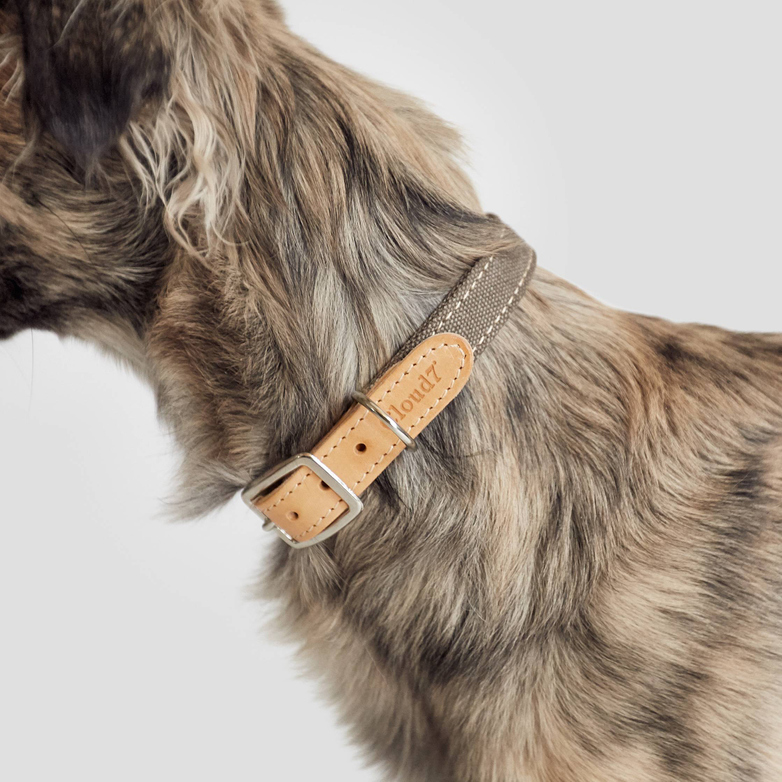 Collar Tivoli - Canvas/Leather - Greige