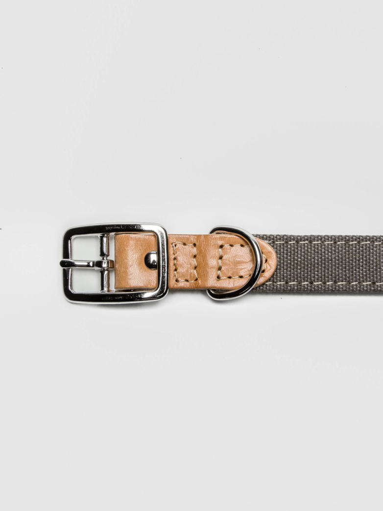Collar Tivoli - Canvas/Leather - Greige
