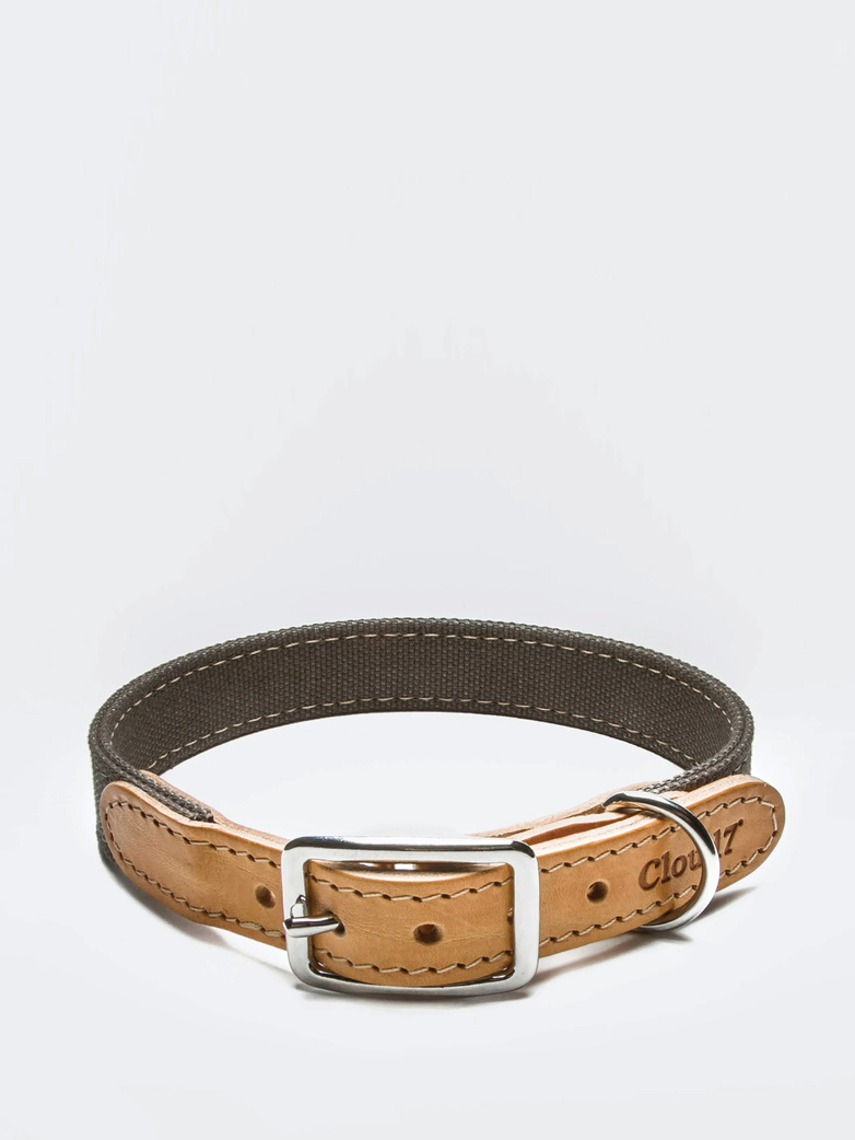 Collar Tivoli - Canvas/Leather - Greige