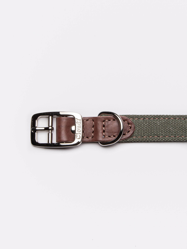 Collar Tivoli - Canvas/Leather - Olive