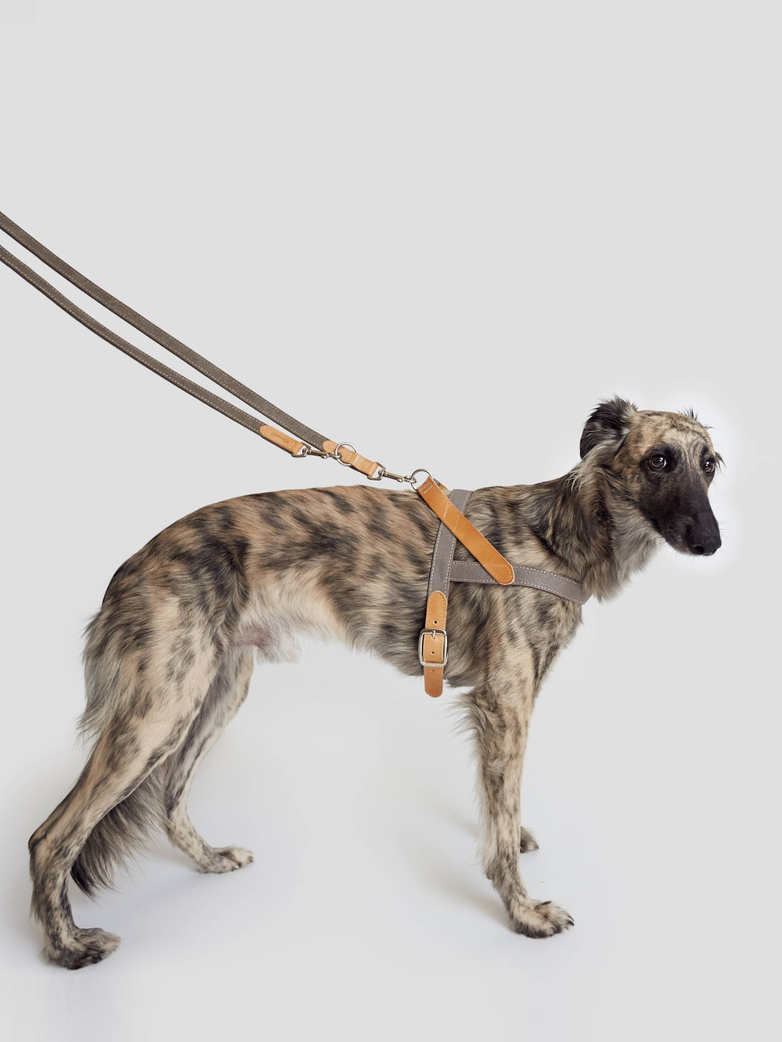 Harness Tivoli - Greige