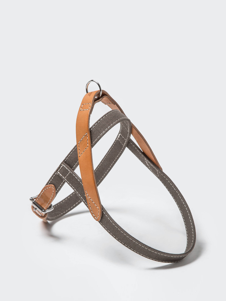 Harness Tivoli - Greige