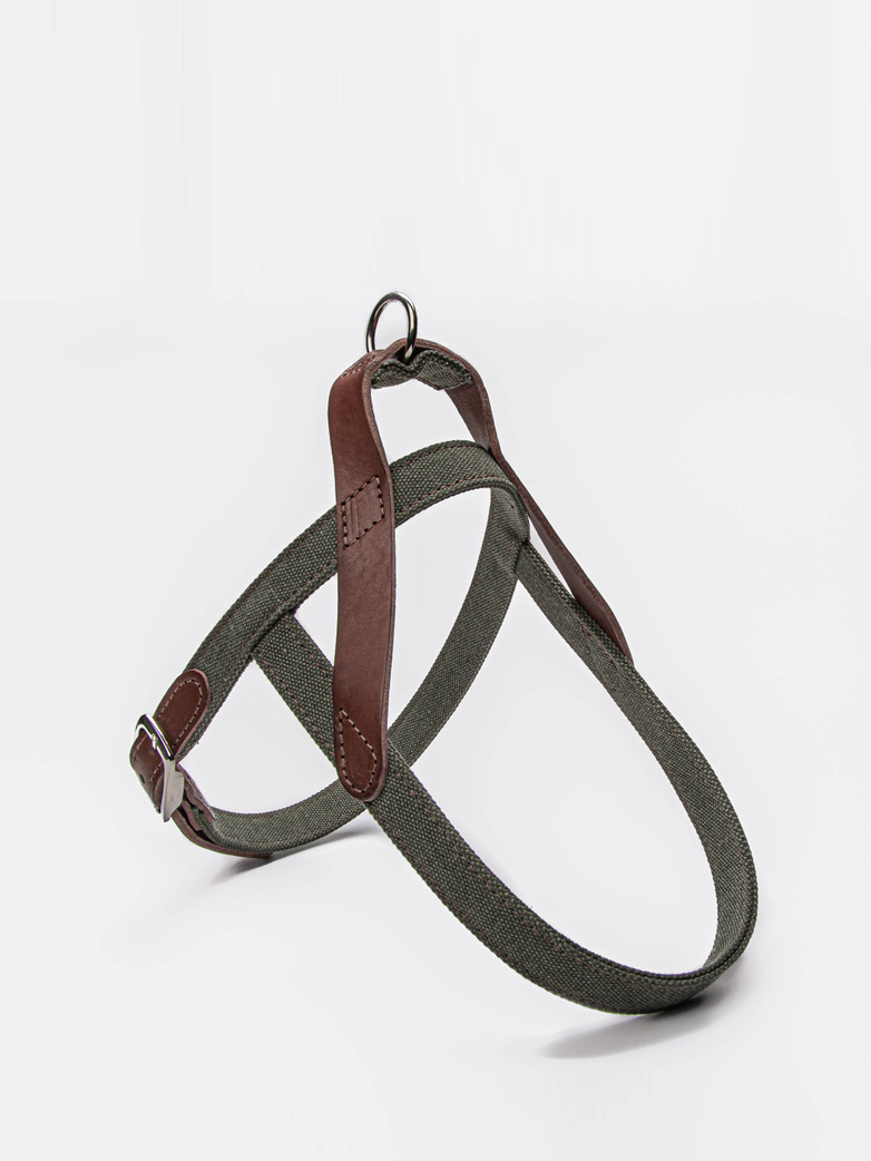 Harness Tivoli - Olive