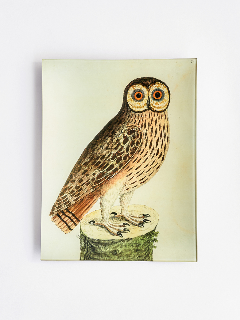 Great Brown Owl Rectangle Tray