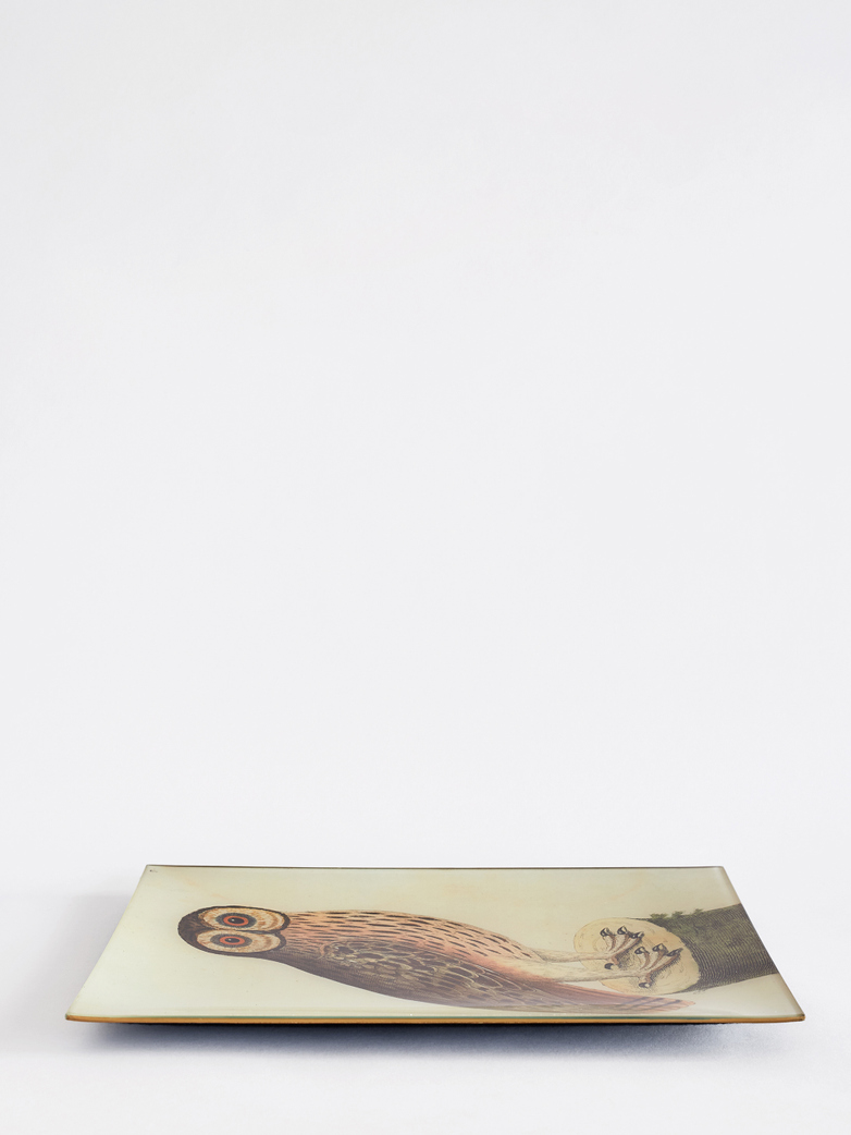 Great Brown Owl Rectangle Tray