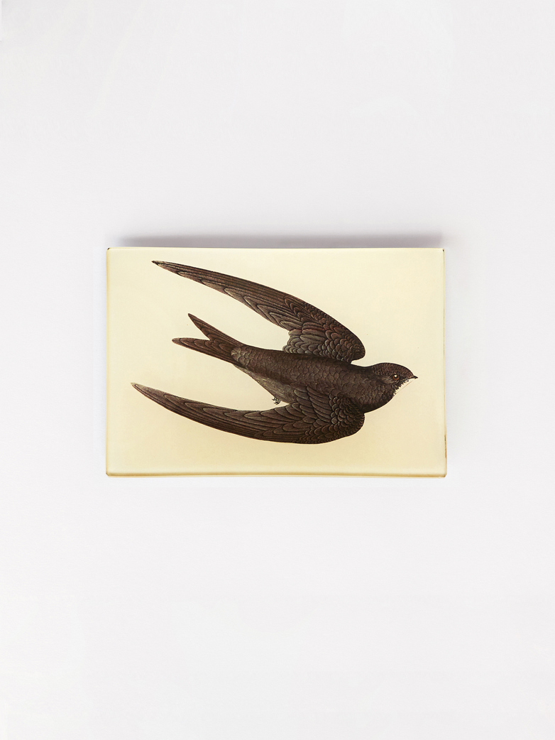 Swift Mini Tray