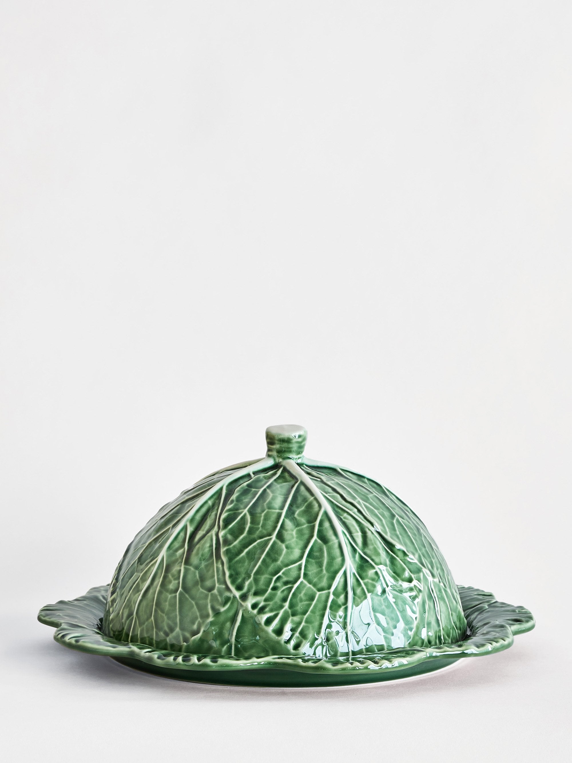 41101 7bda024d17 41101 9e2d87a600 Cabbage Cheese Tray 1 Zoom Shift Portrait