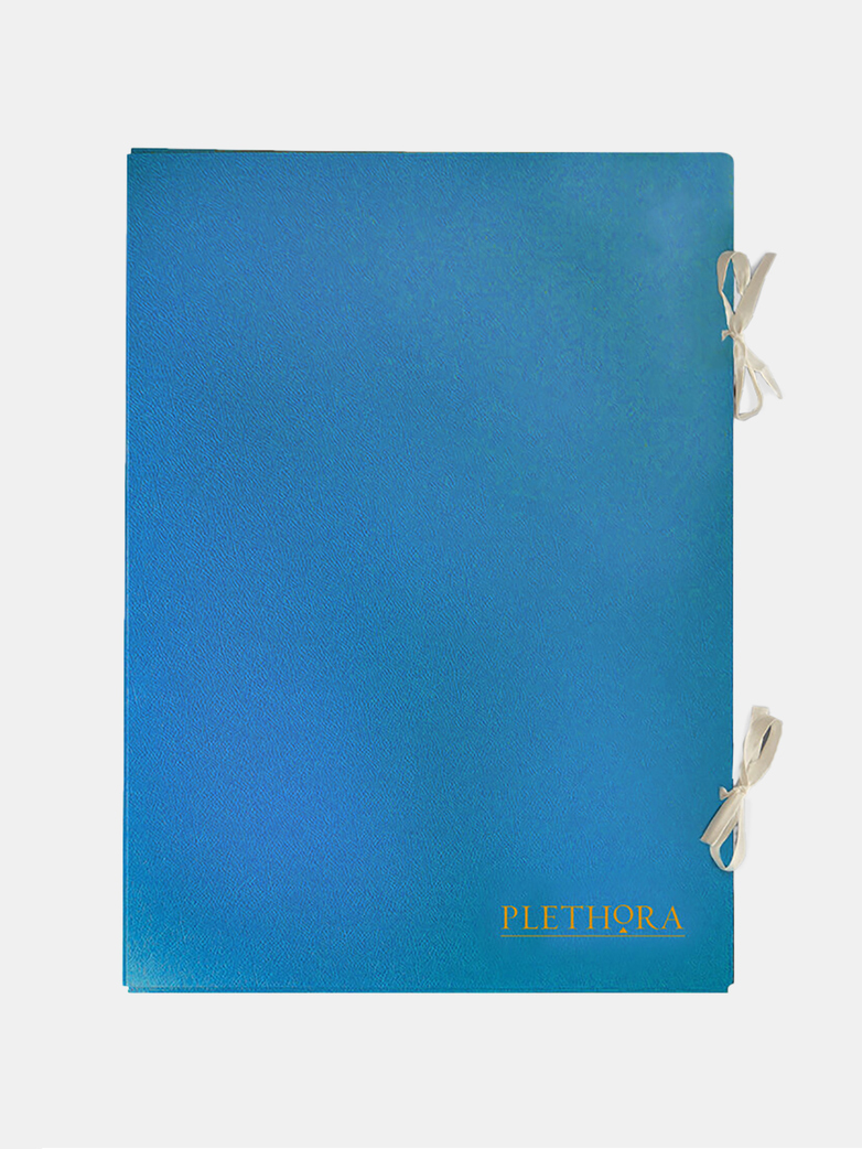 Plethora Magazine Issue No 11