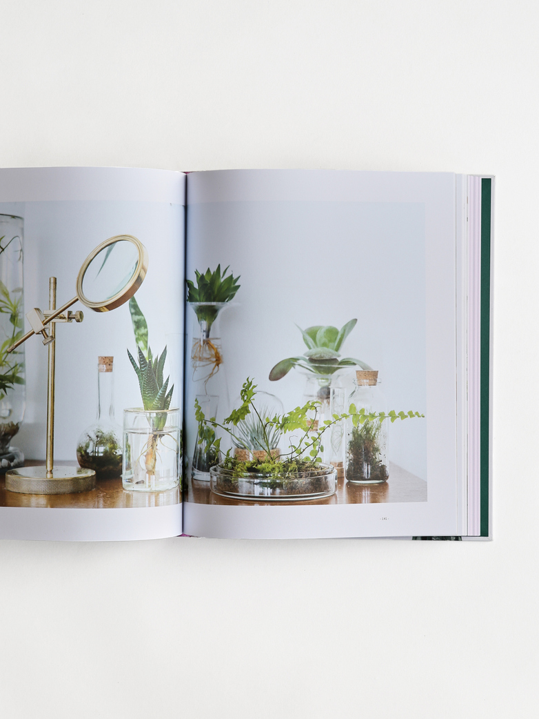 Wonderplants