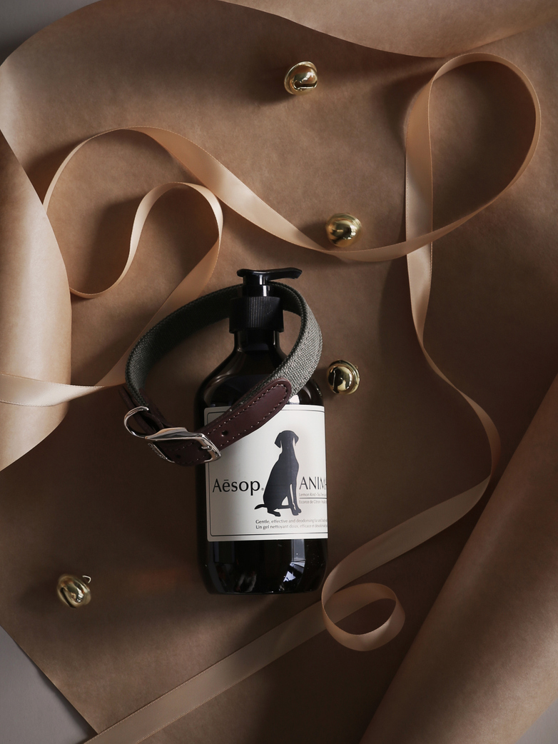 Man's Best Friend - Gift Set