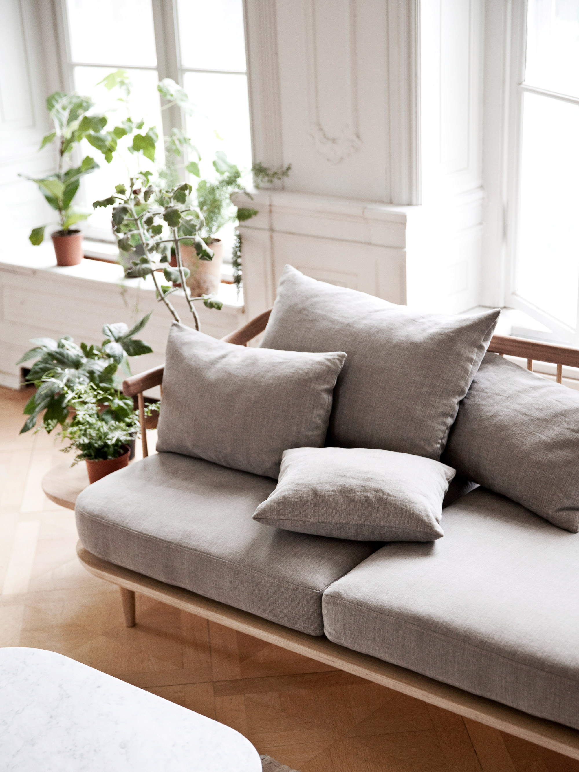 42977 50b926f662 Fly Sofa Portrait