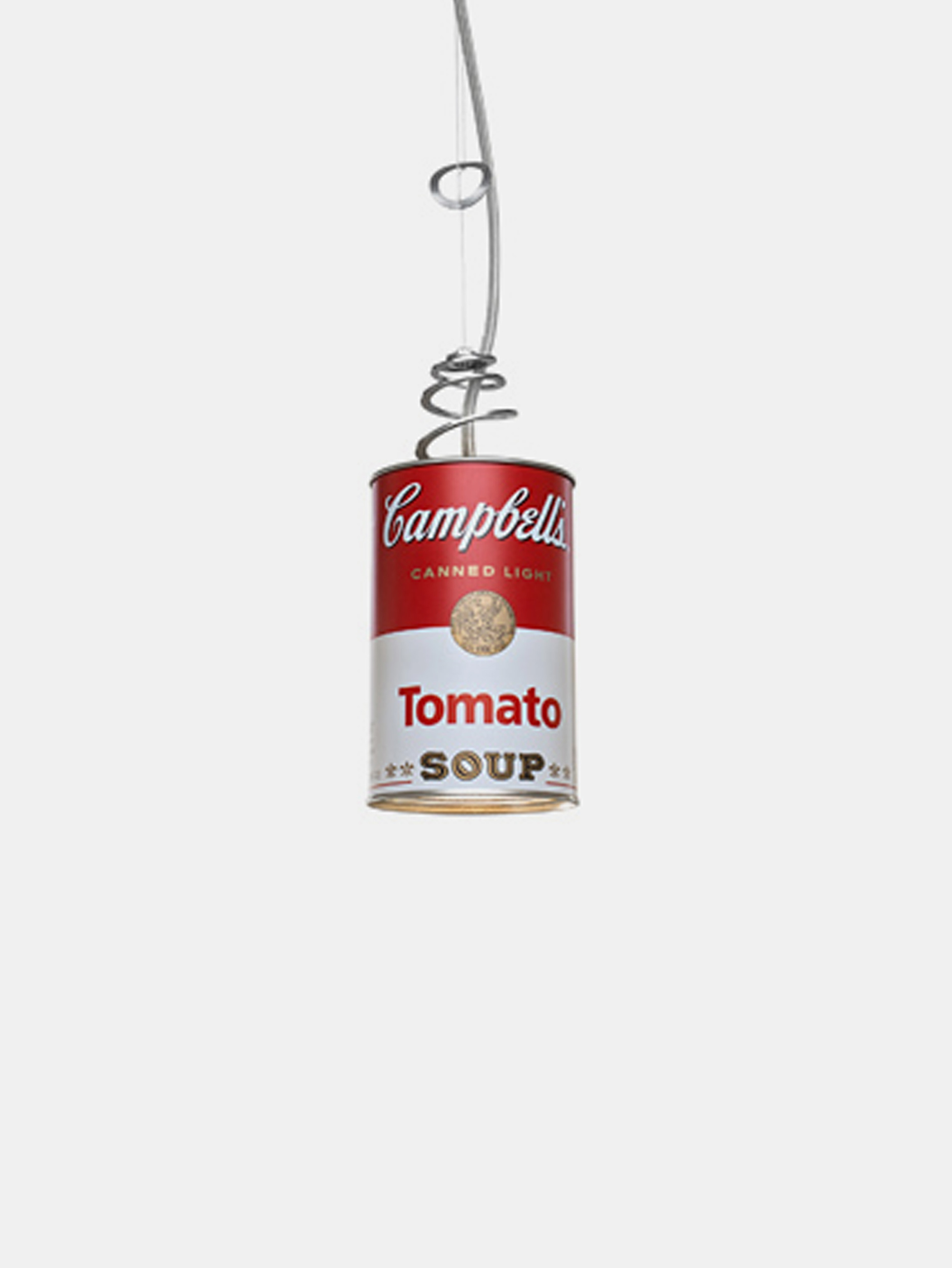 43051 06276e69b7 Canned Light Pendant Portrait