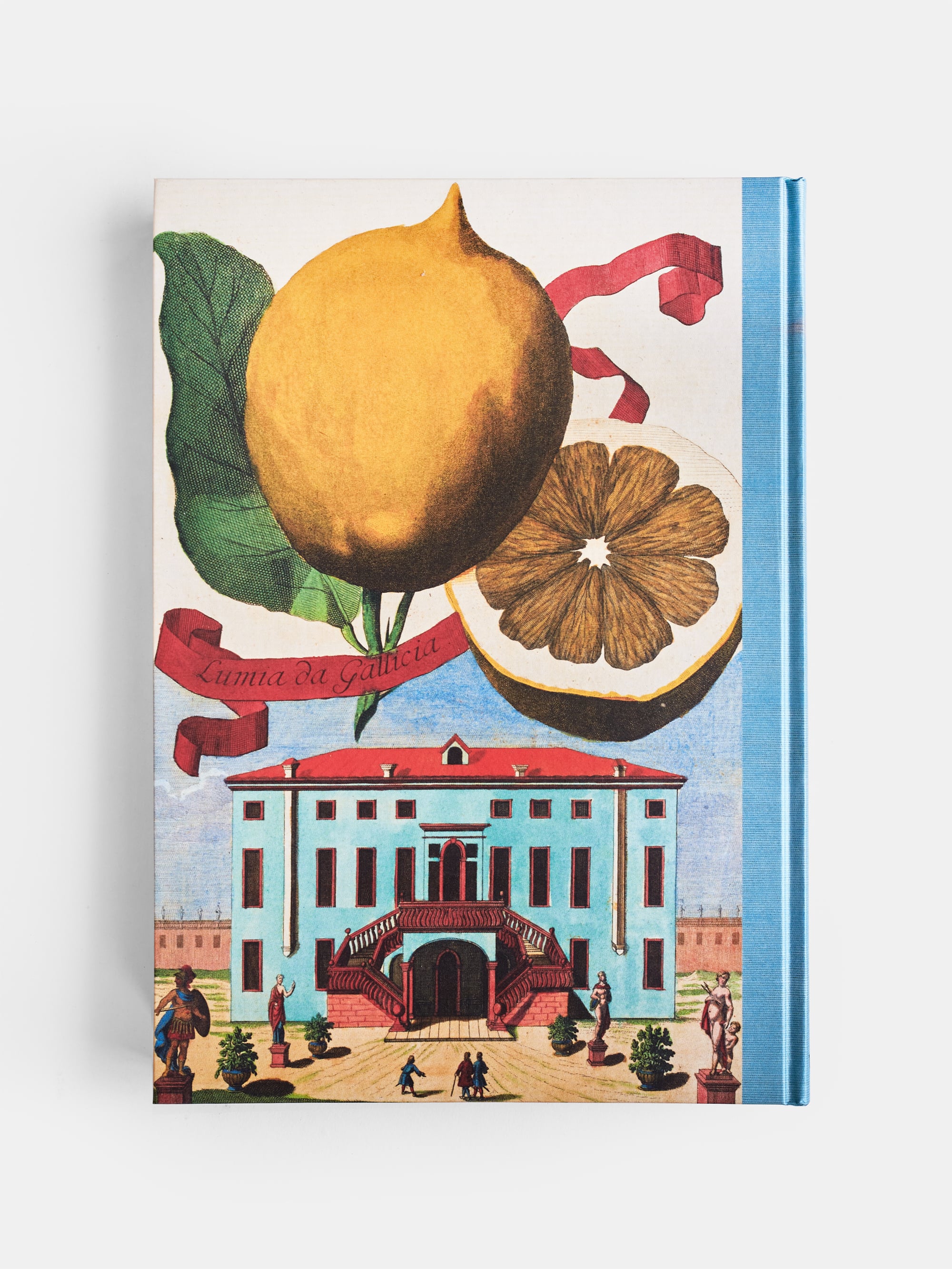 43443 8ec877593e The Book Of Citrus Fruits 1 Portrait