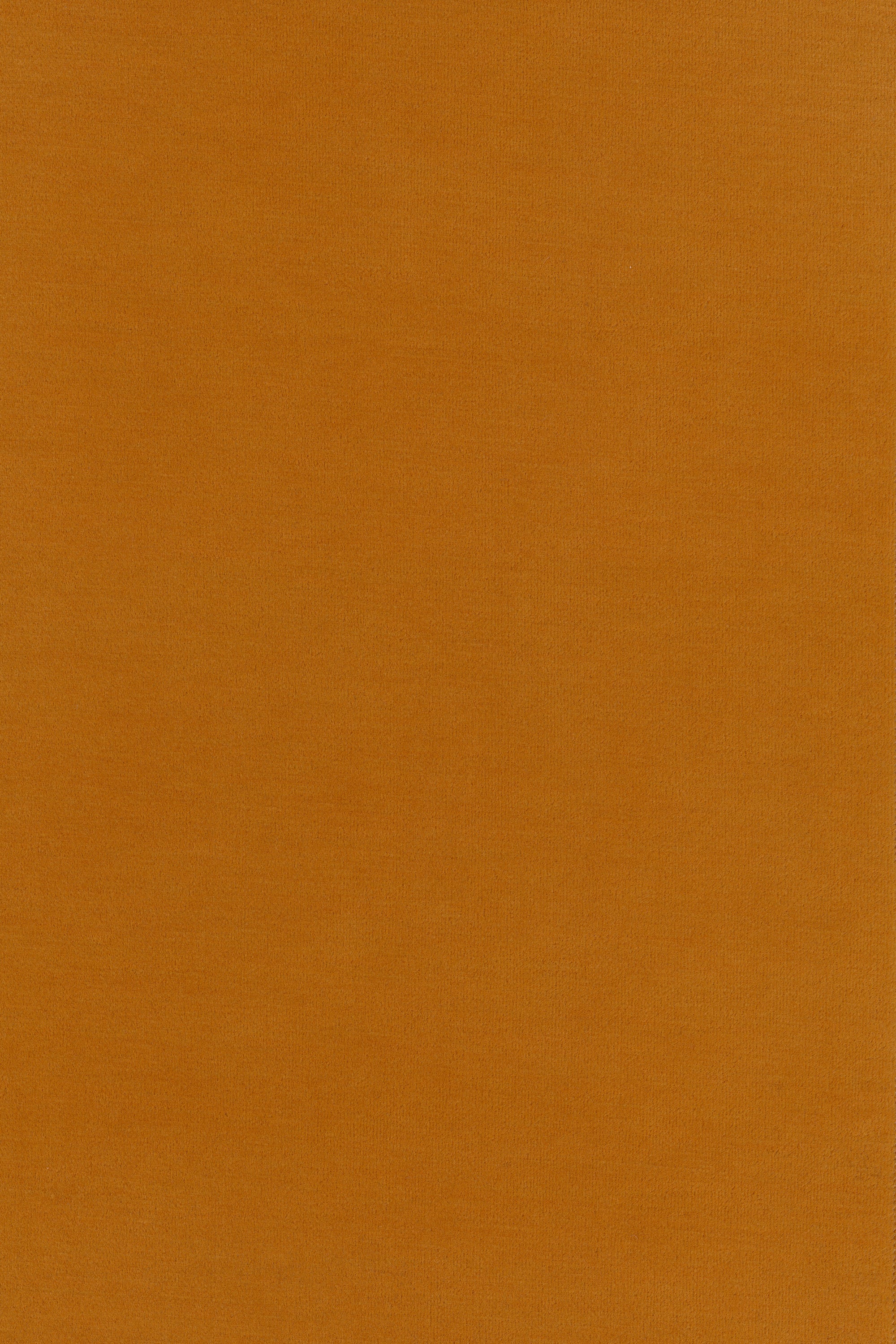 49886 19305c0229 0443 Portrait