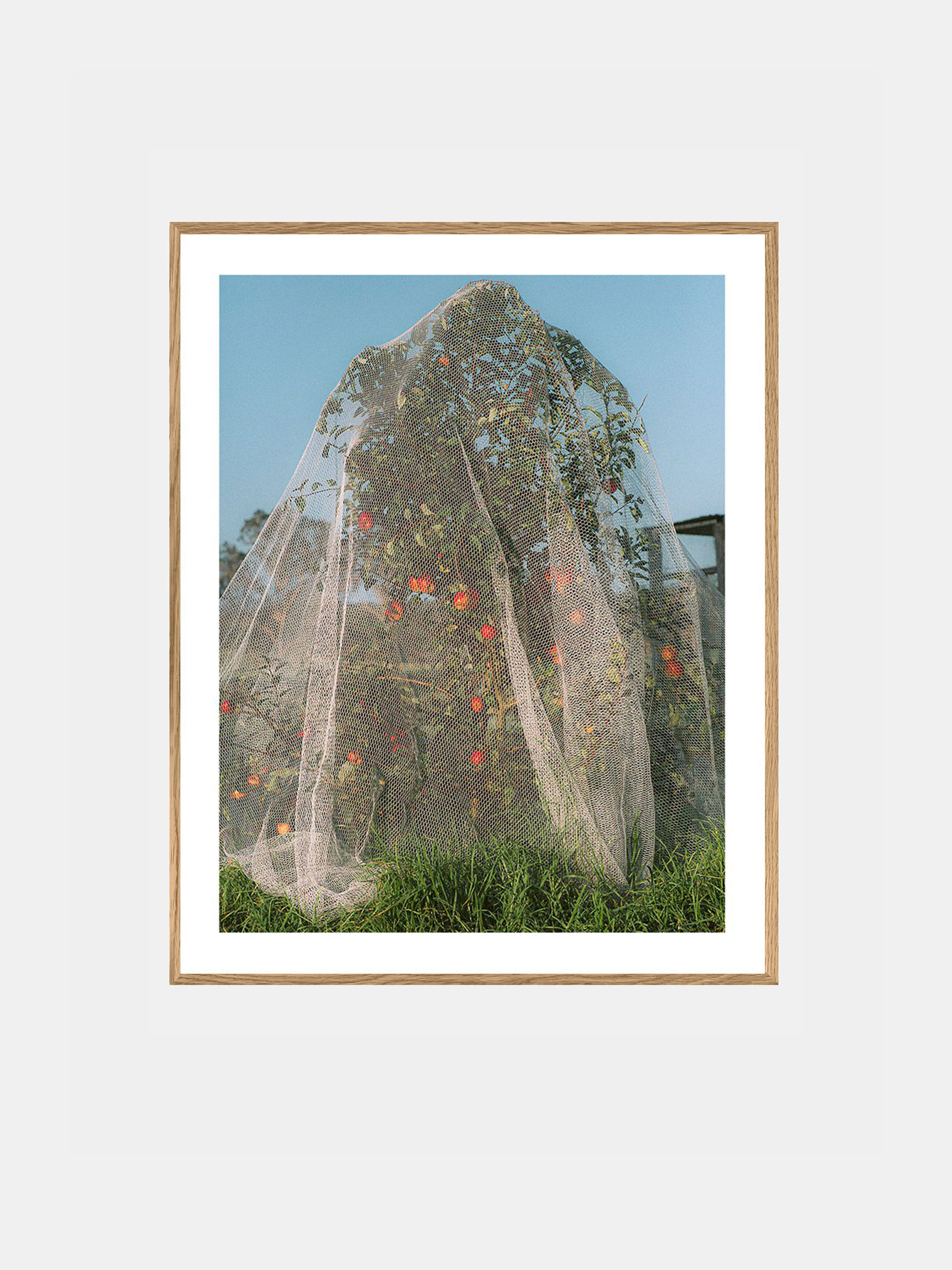 53500 265cec34b6 Lee Burnett Apple Tree Portrait