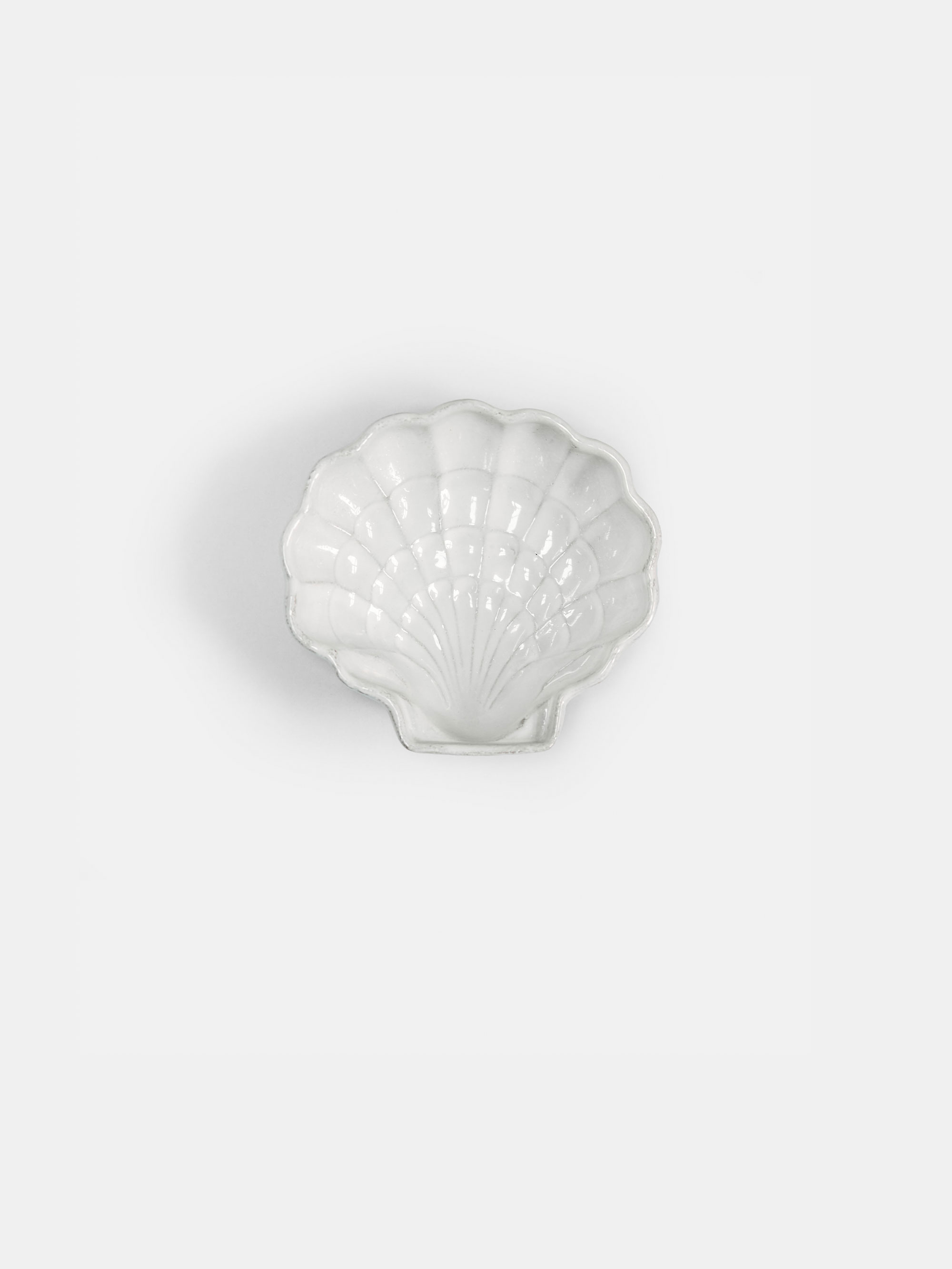 53662 43416d3536 Shell Dish Portrait