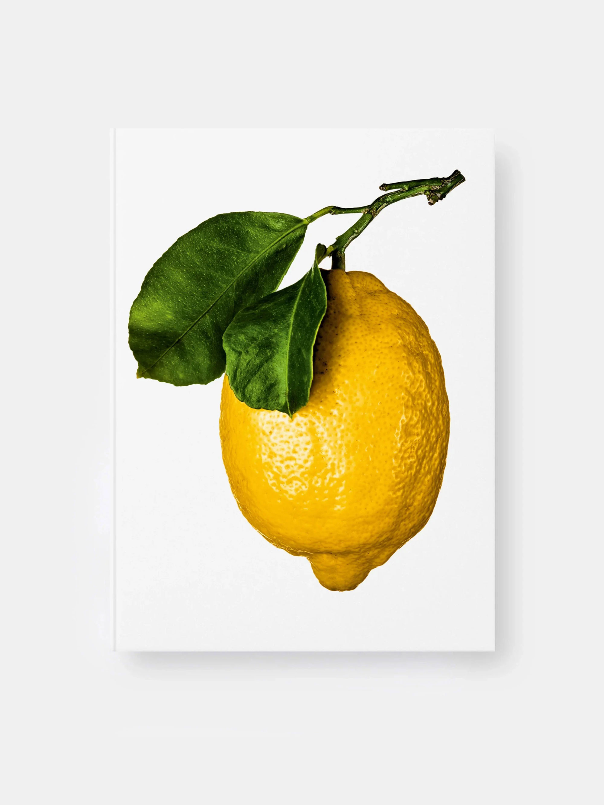 53822 790c75e547 Lemon Portrait