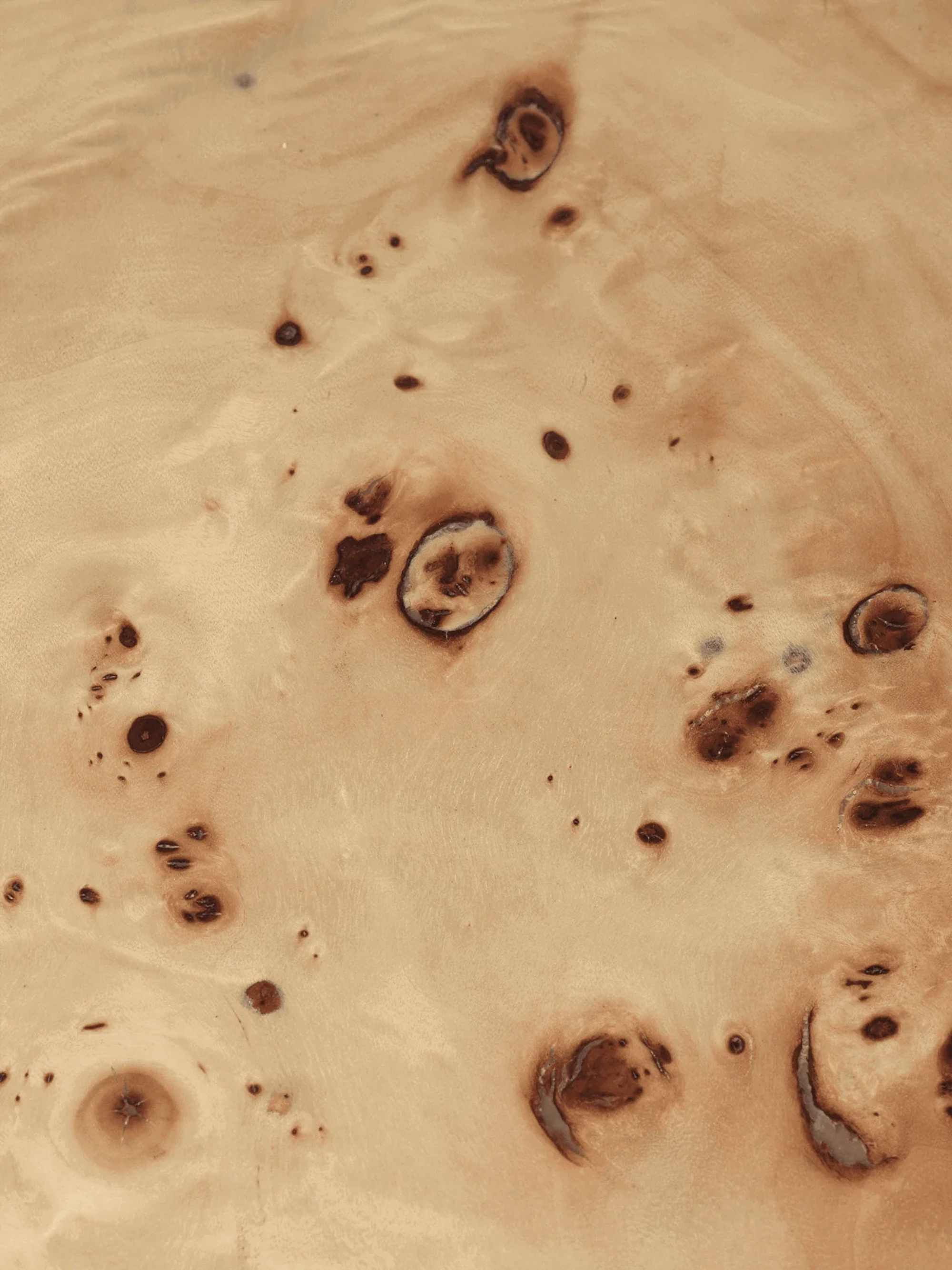53916 A3db681681 Burl Portrait