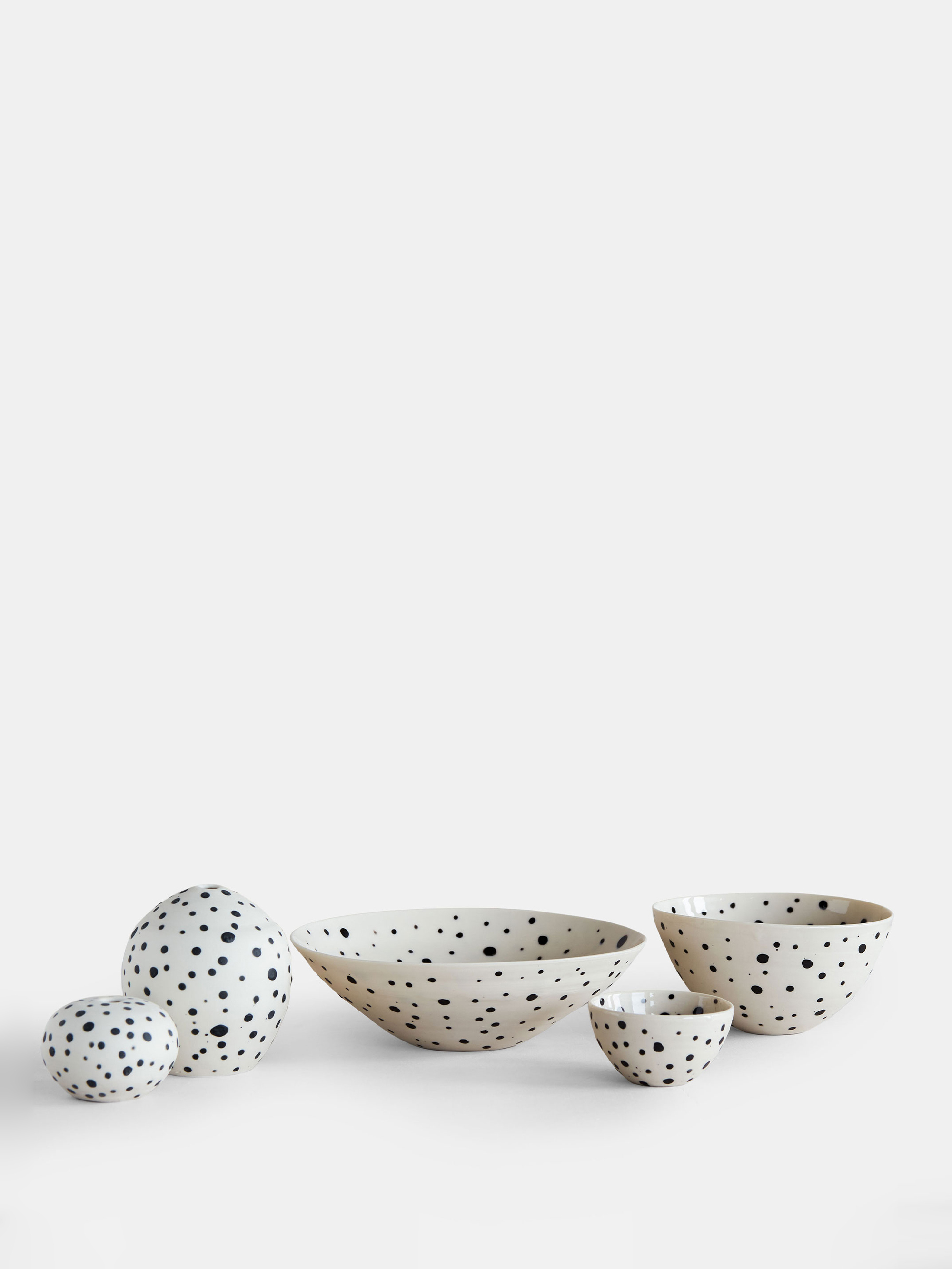 5456 F0f98c9f77 Dalmatian Portrait