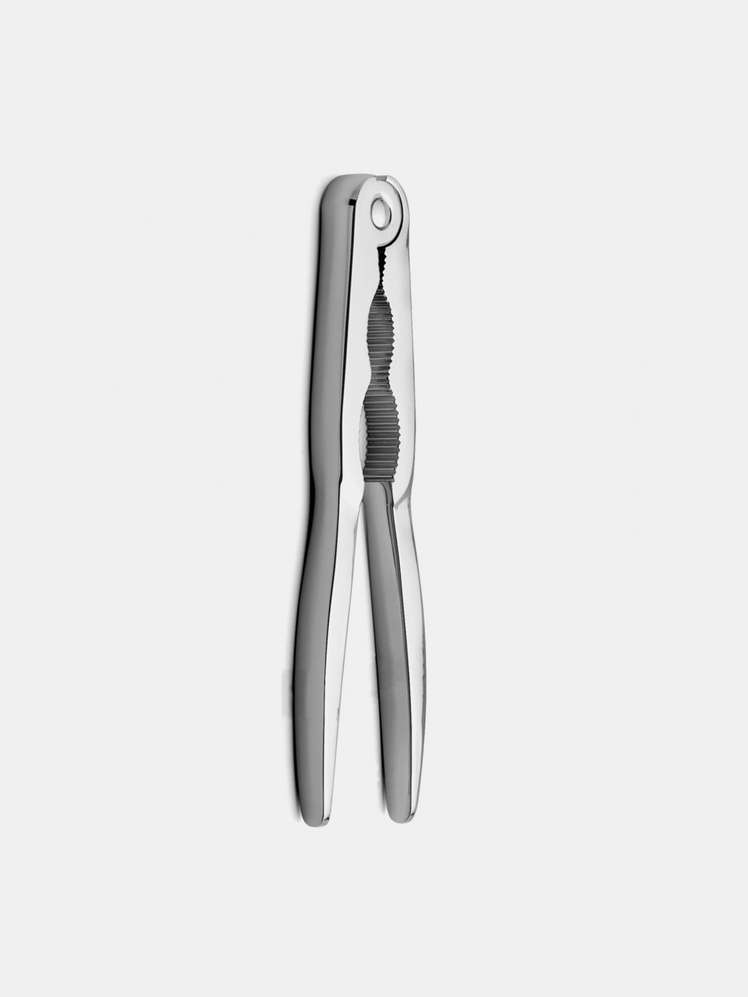 55334-0da72d9d8b-nutcracker-portrait-jpg