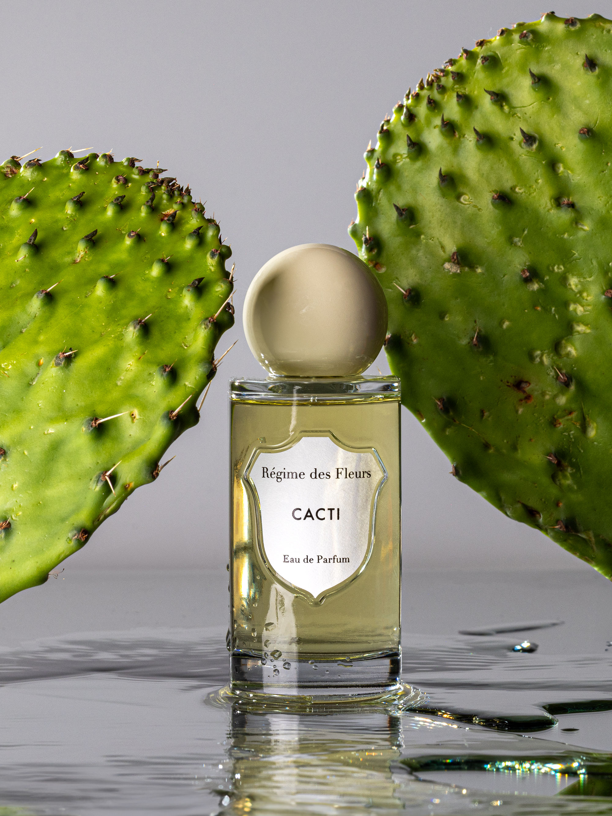 55362 885017266c Cacti 2 Portrait