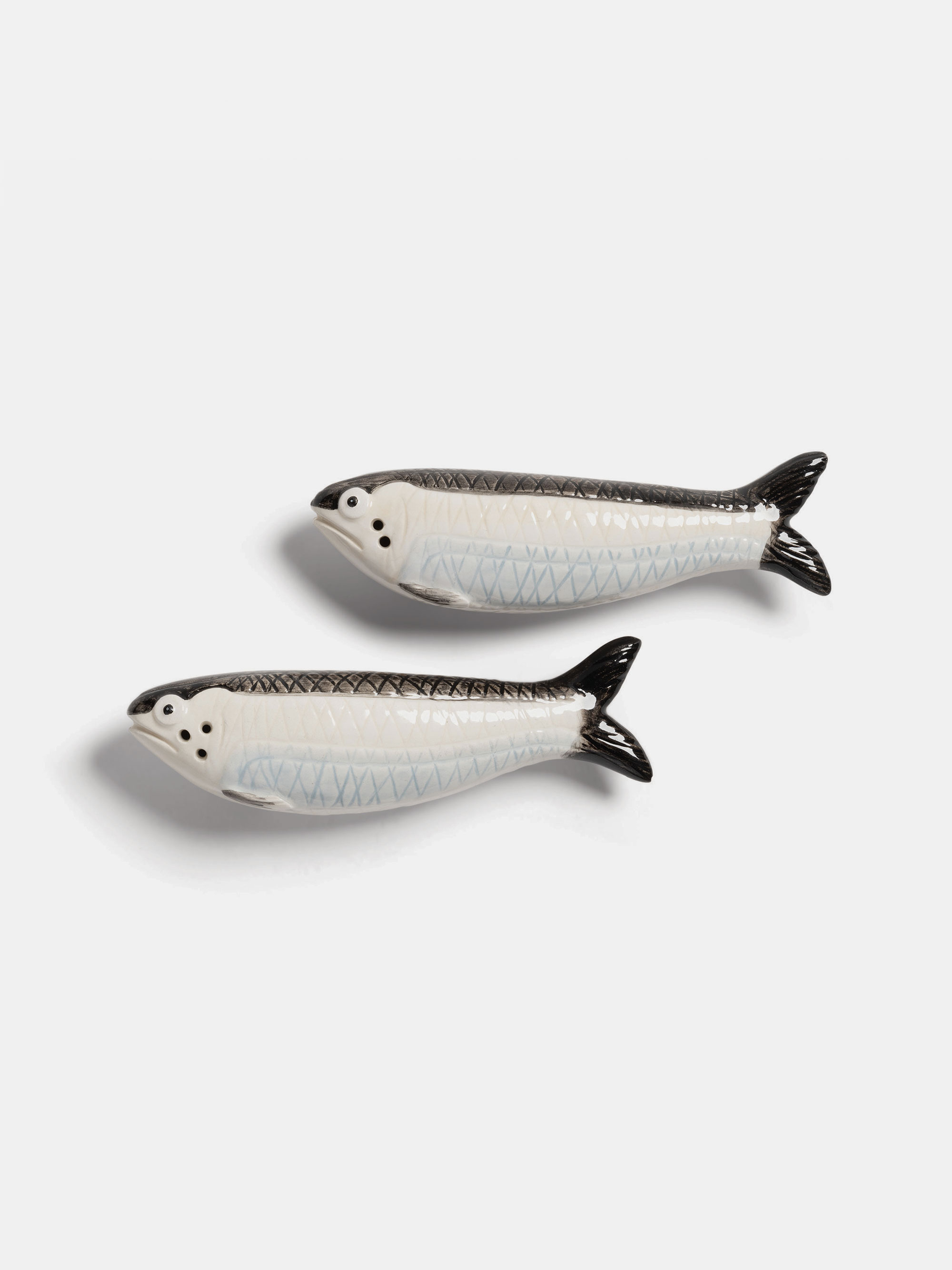 55656 35f75ae6a0 Sardine Portrait