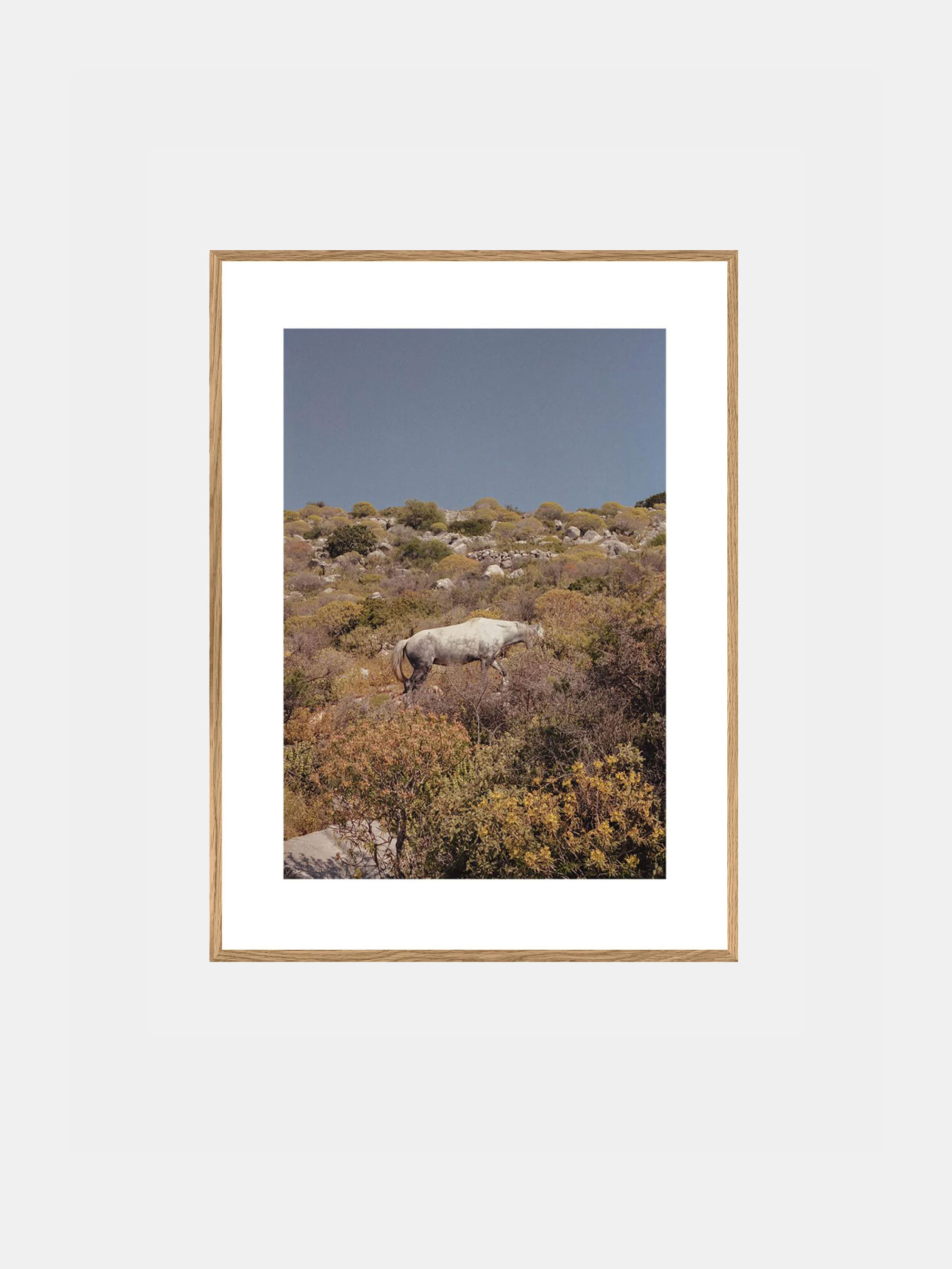 55691 510314fc76 Ana Santl Camouflage Portrait