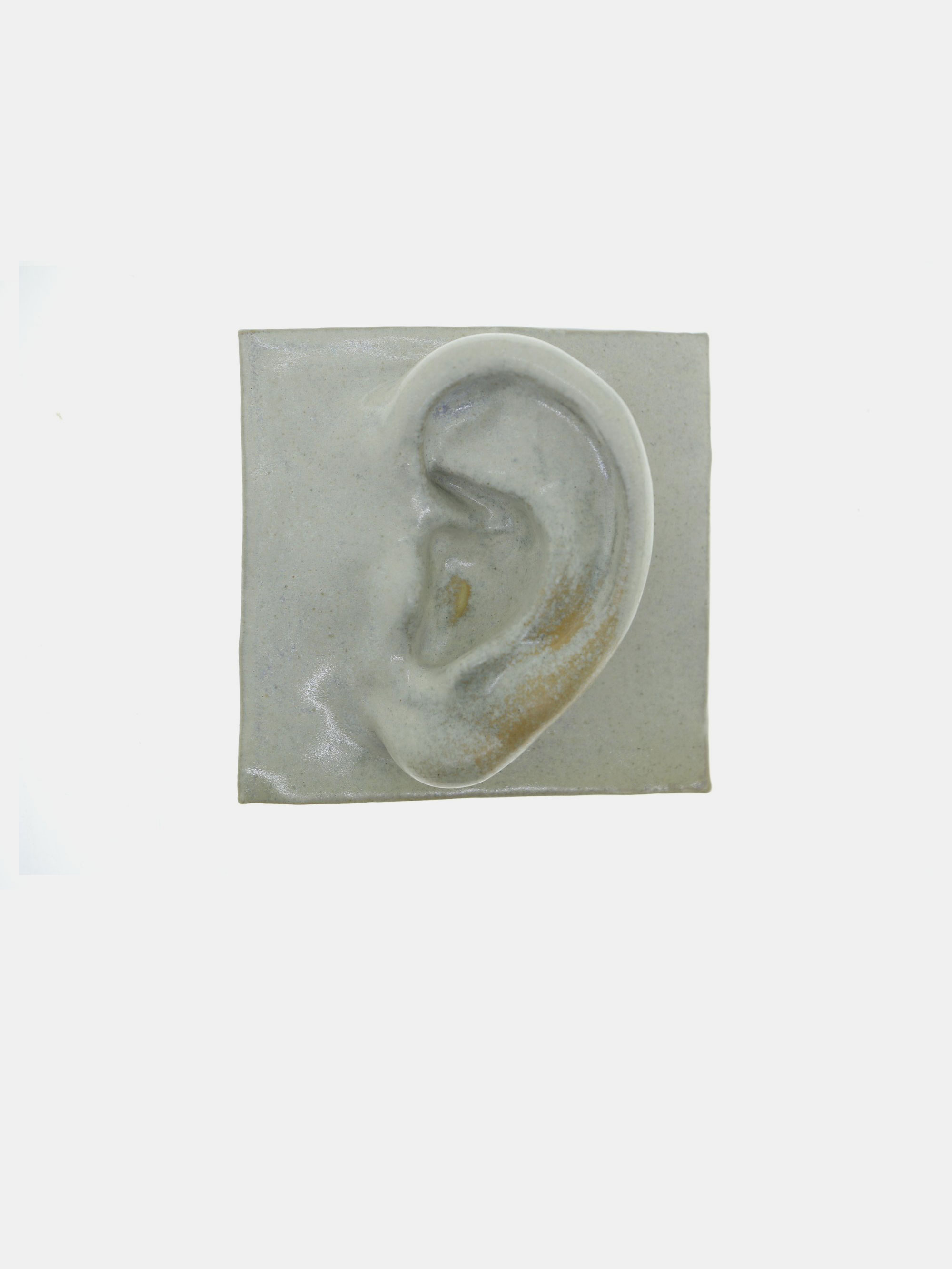 56143 B2f4d989ad White Ear 1 Portrait