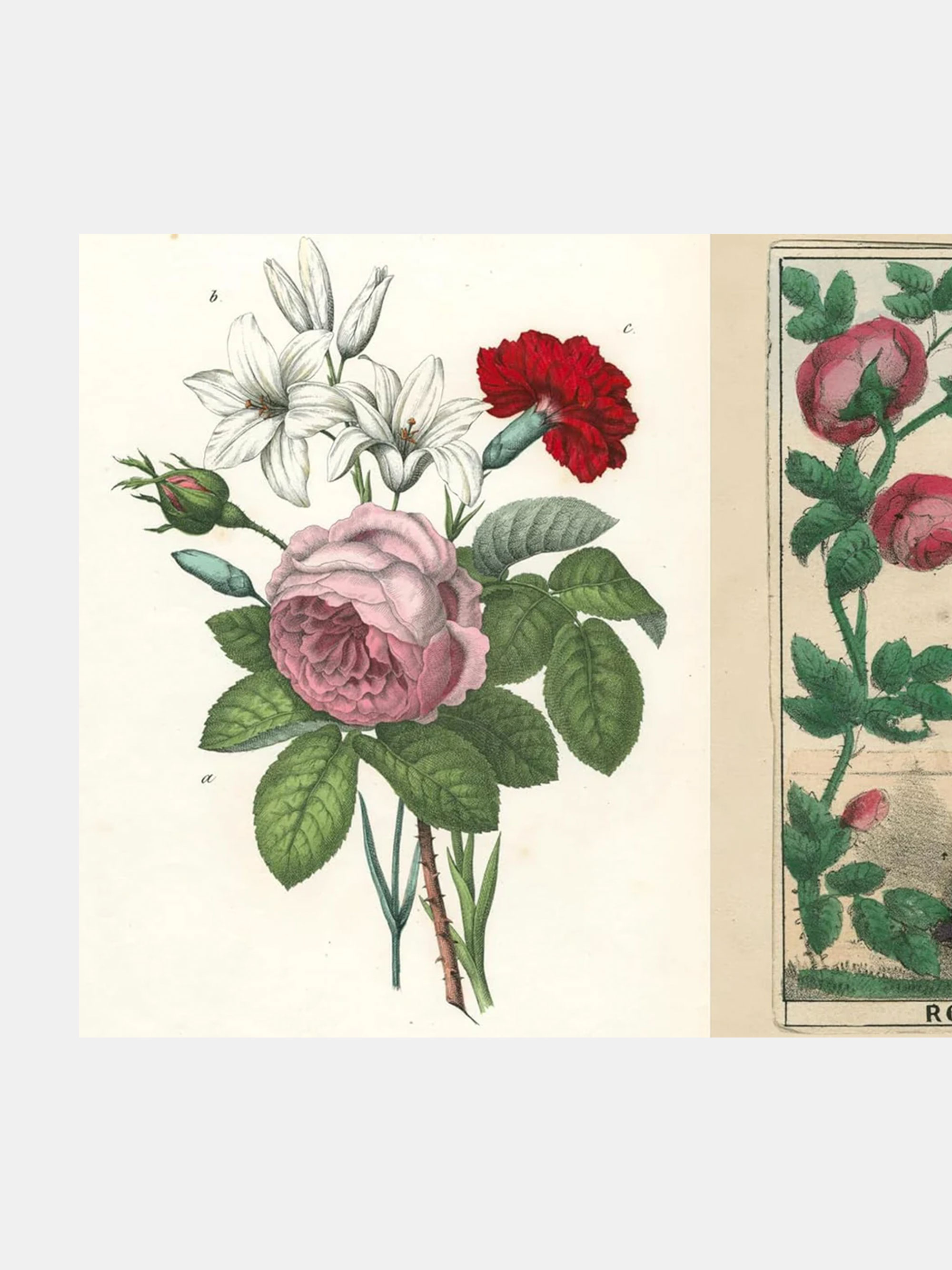 John Derian Picture Book II — Coffee table books | Artilleriet