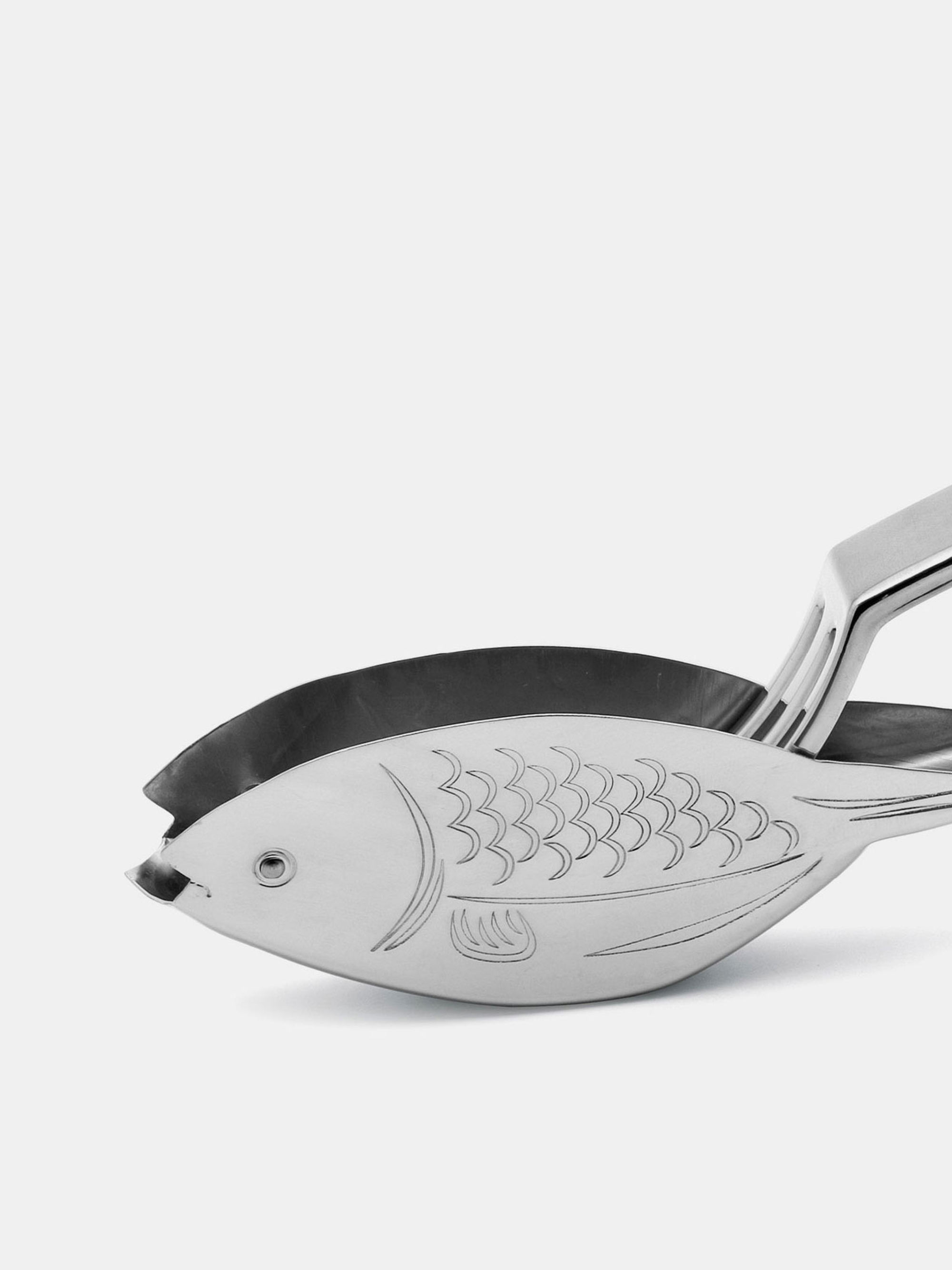 56778 9e0b10a6f9 Lemon Squeezer Fish Portrait
