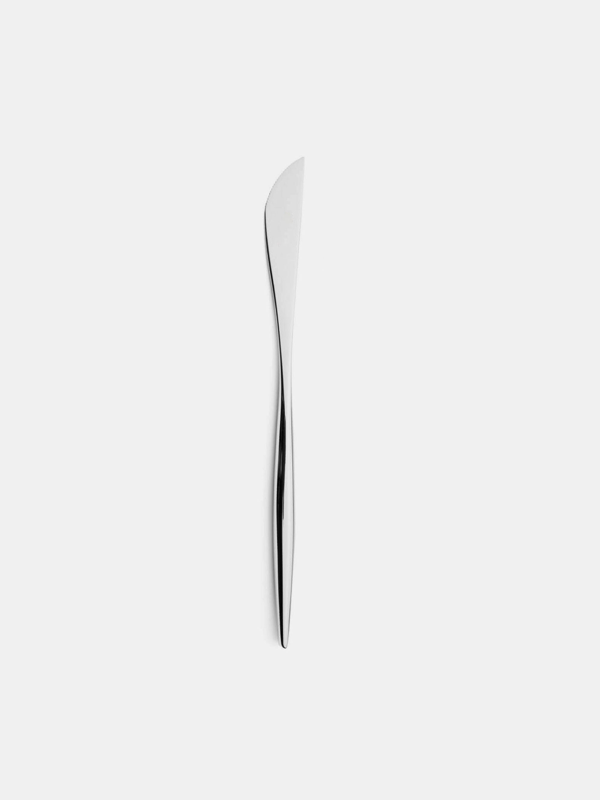 57014 50a98b08eb Dinner Knife Portrait