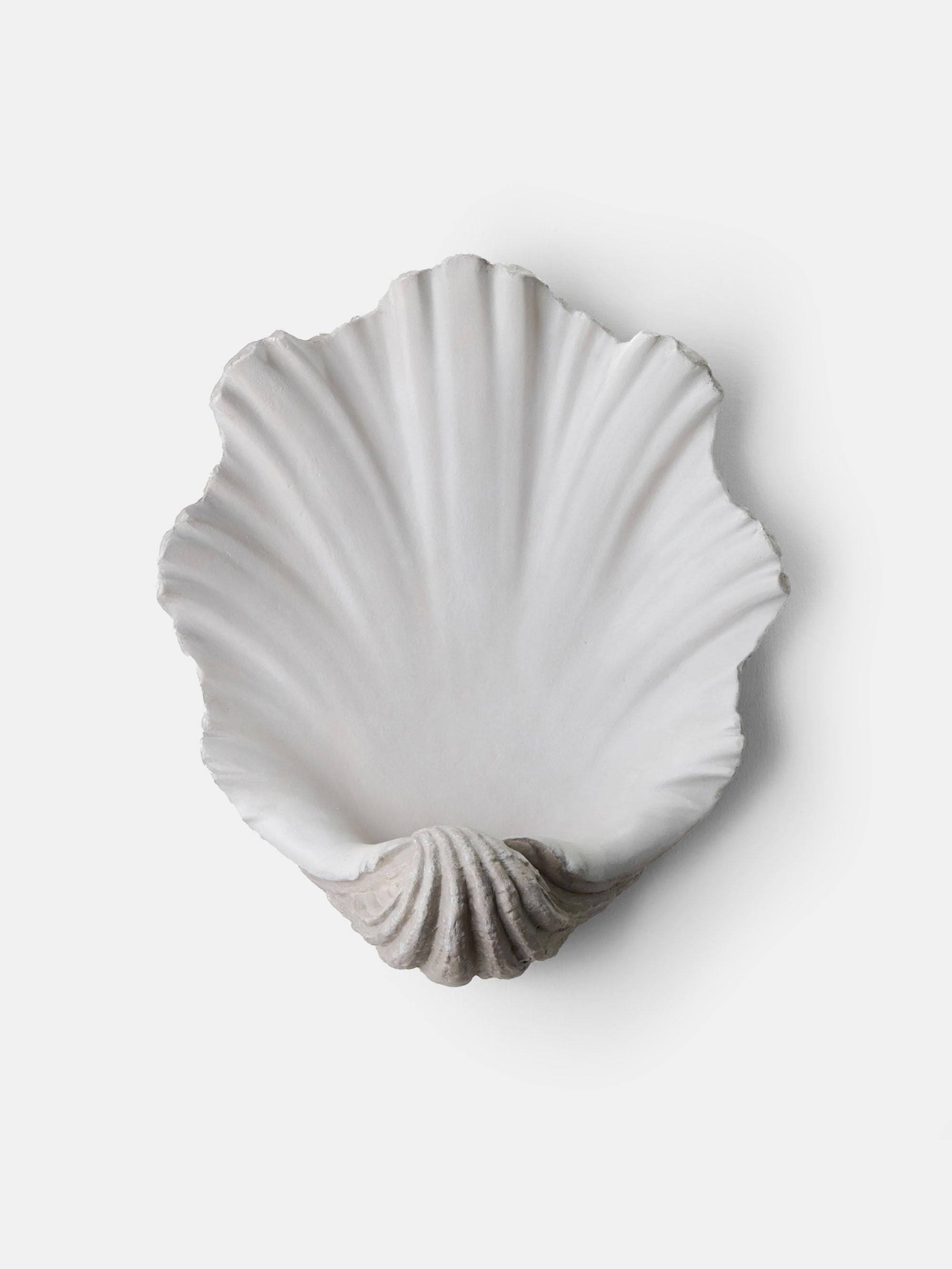 57152 3b6949d7b8 Scallop Shell Wall Light Portrait