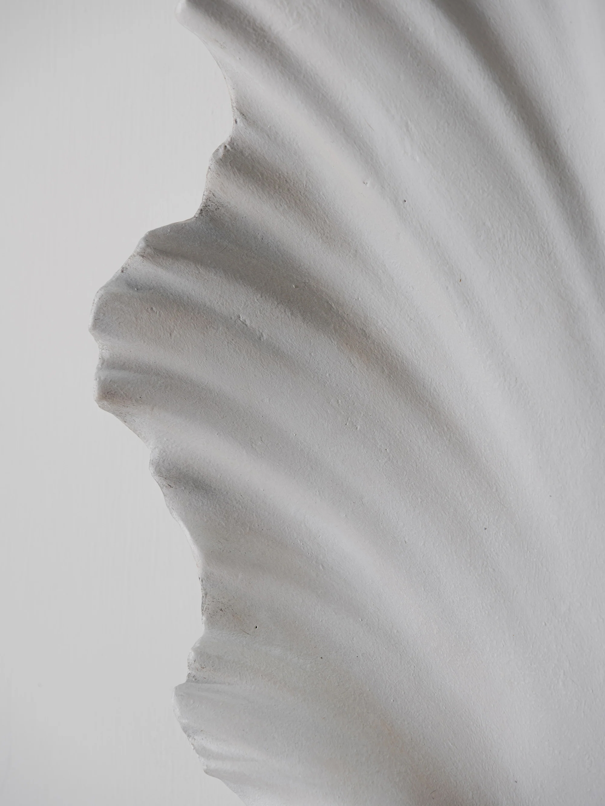 57152 Dbe40e24bb Scallop Shell Wall Light 1 Portrait