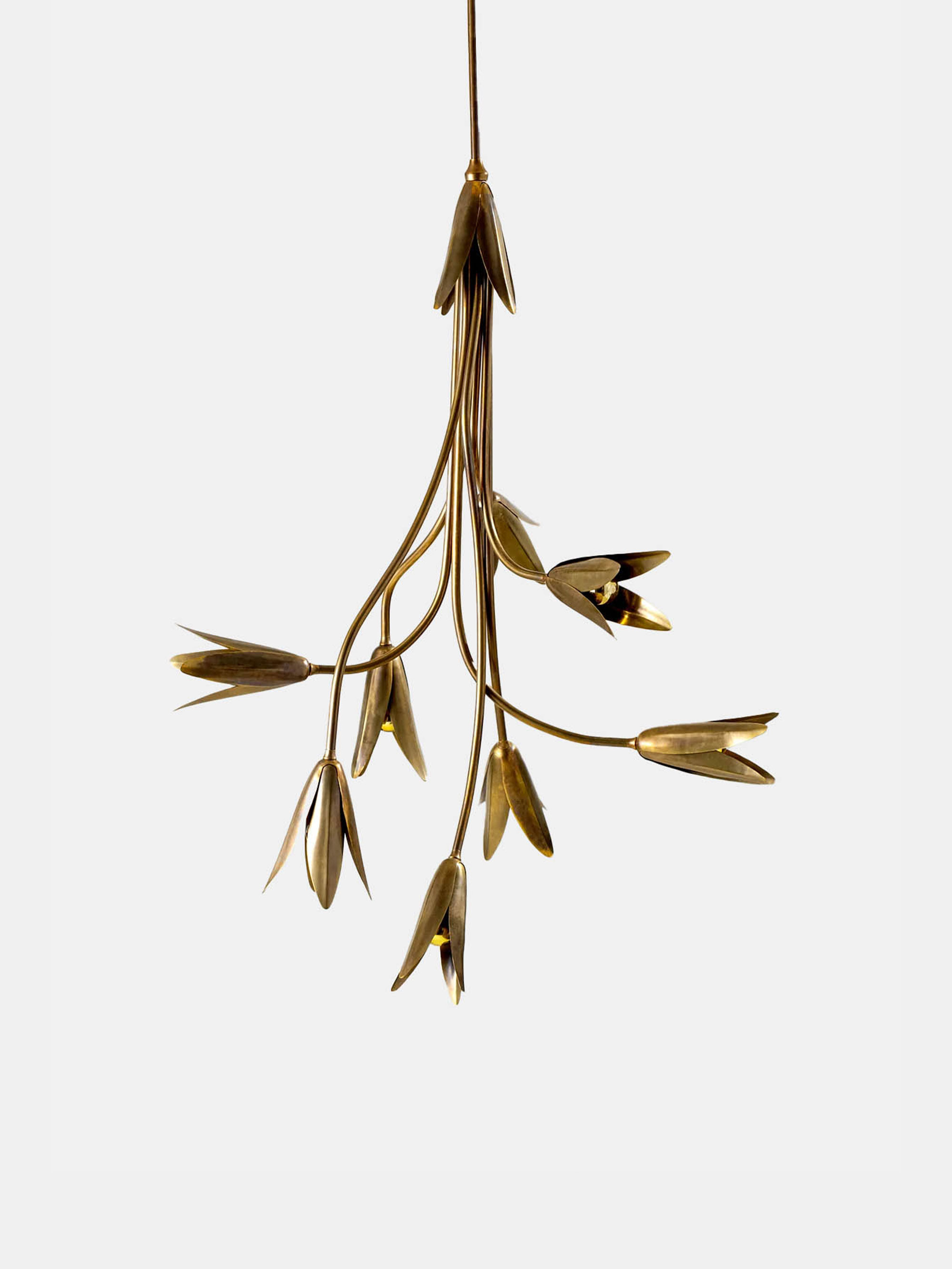 57169 Fc1163796e Morales Chandelier Portrait