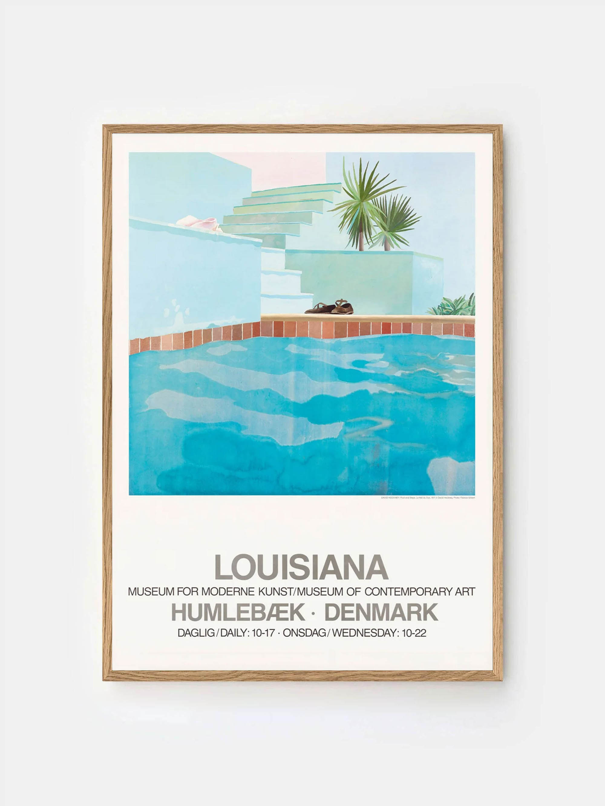 58019 E6e9f5548a Davidhockney Poolandsteps Oak Portrait