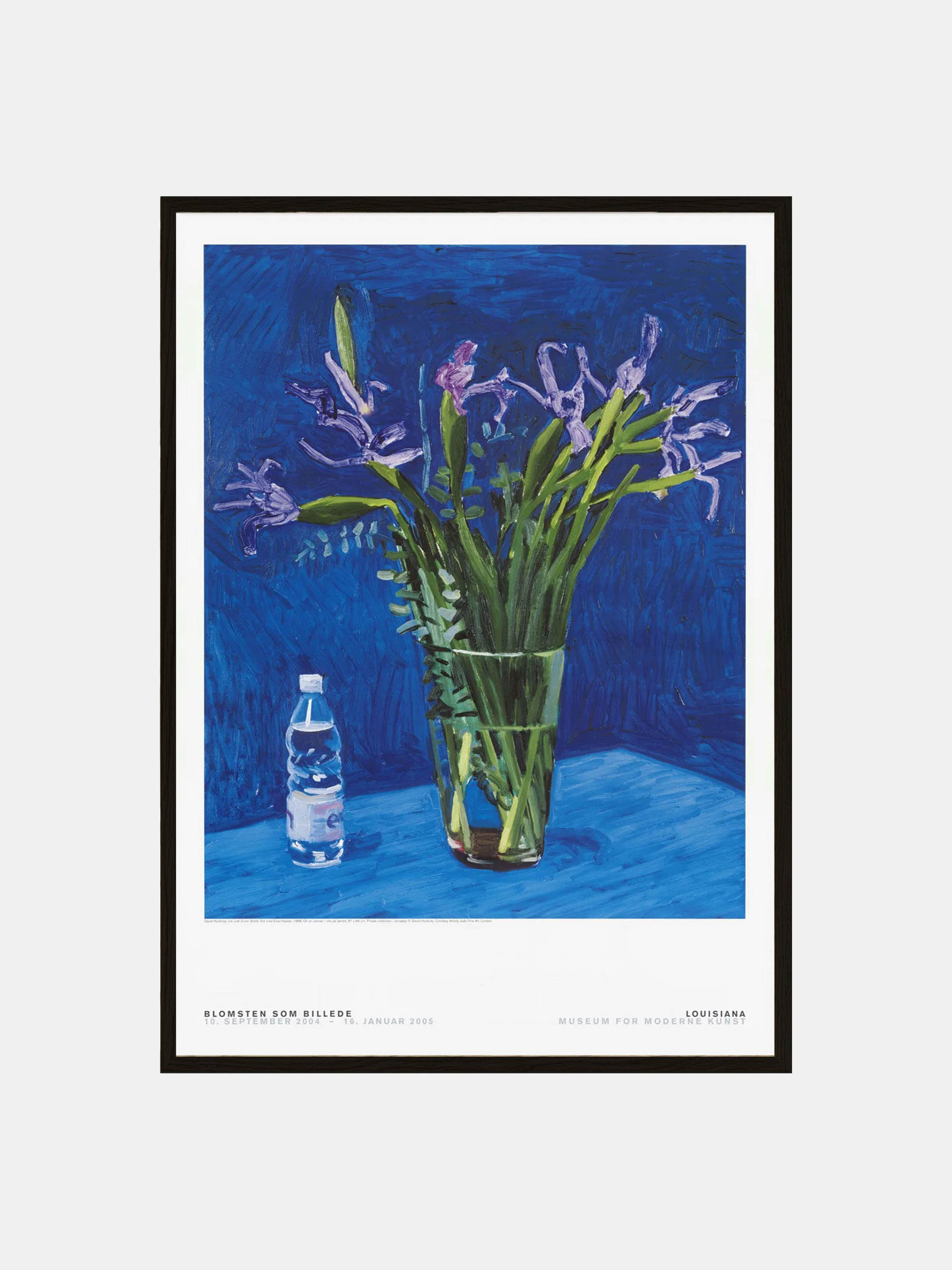 58021 7354472eb0 Hockney Iris Blackoak Portrait