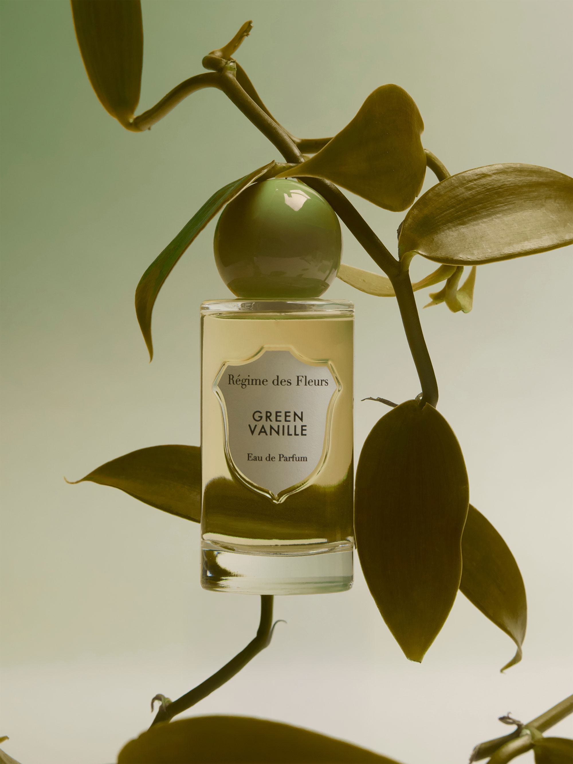 58915 01cc8d6e02 Green Vanille 1 Portrait
