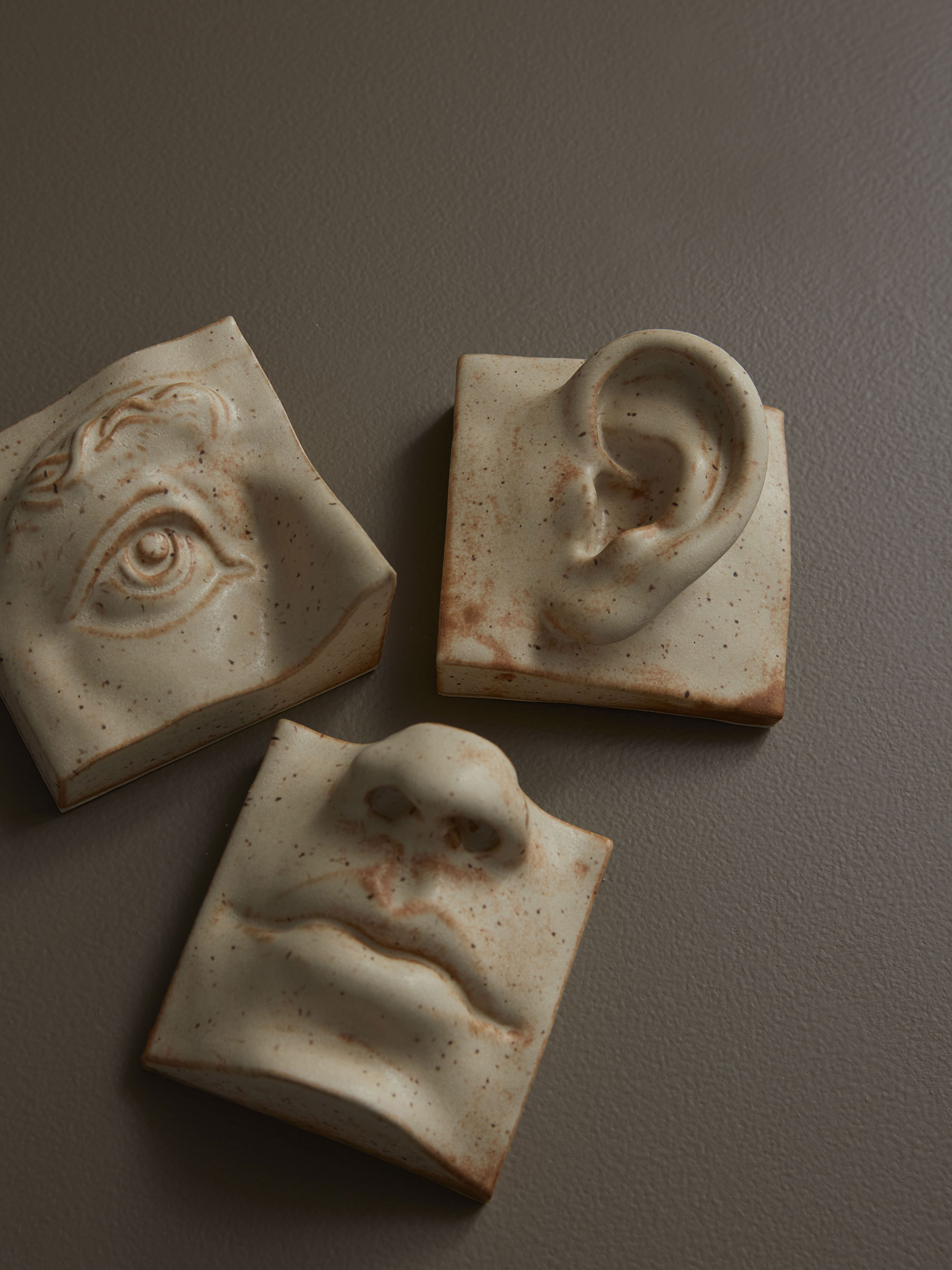 59209 537cfc8a40 Eye Ear Mouth Warmsand Portrait