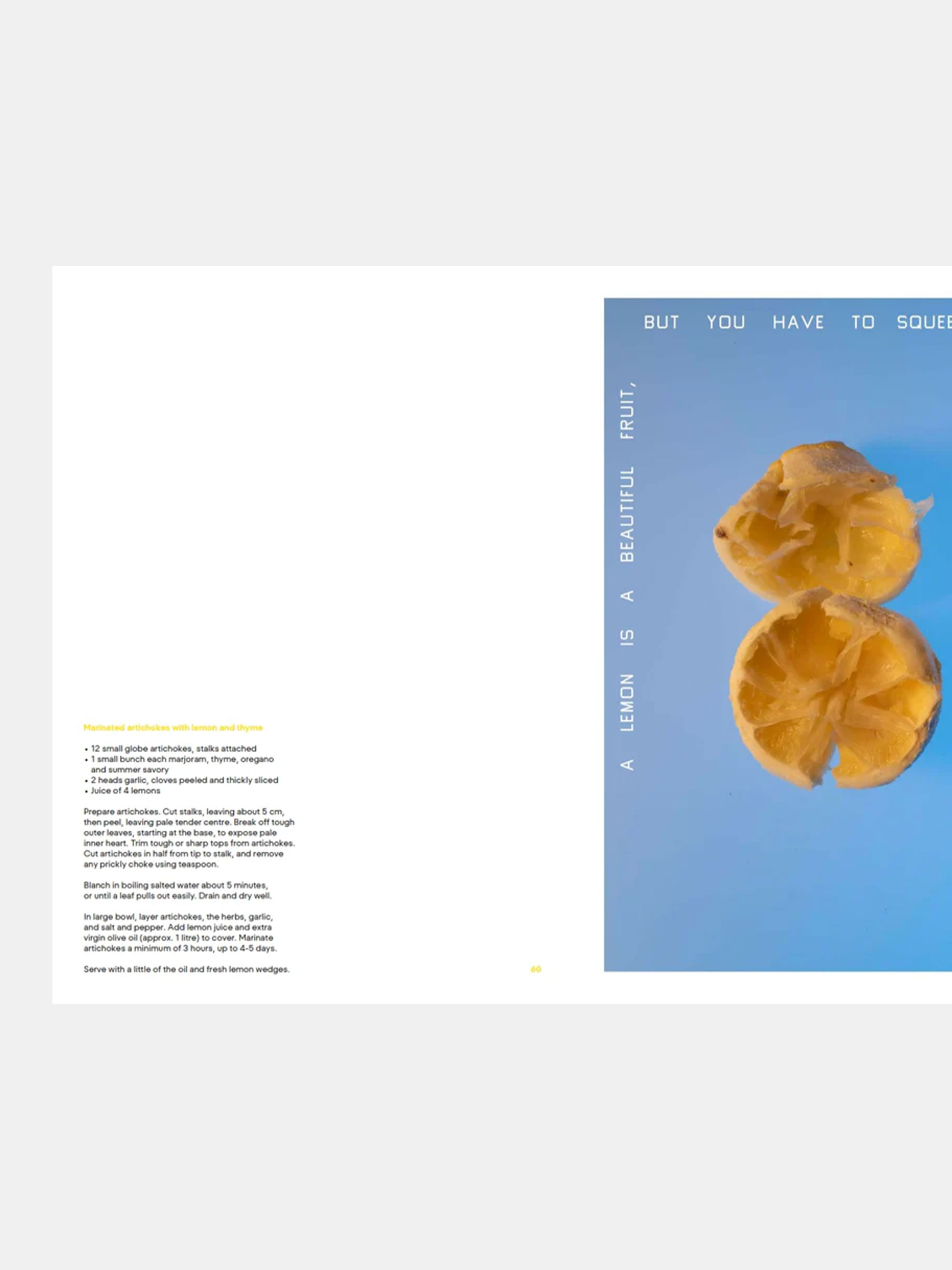 59252 A27611de83 Squeeze Me Lemon 1 Portrait