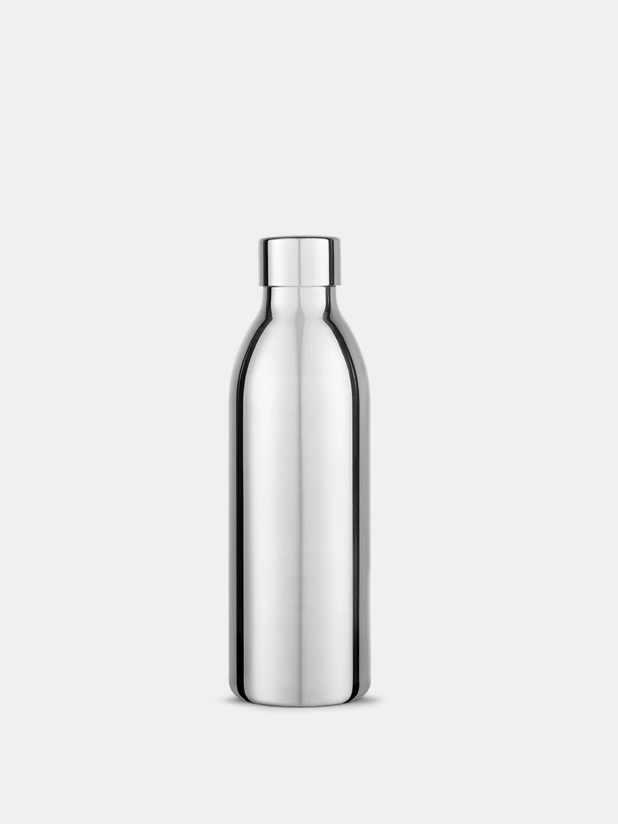 59599 C86e381843 Aarke Steel Bottle C3 650 Ml Portrait