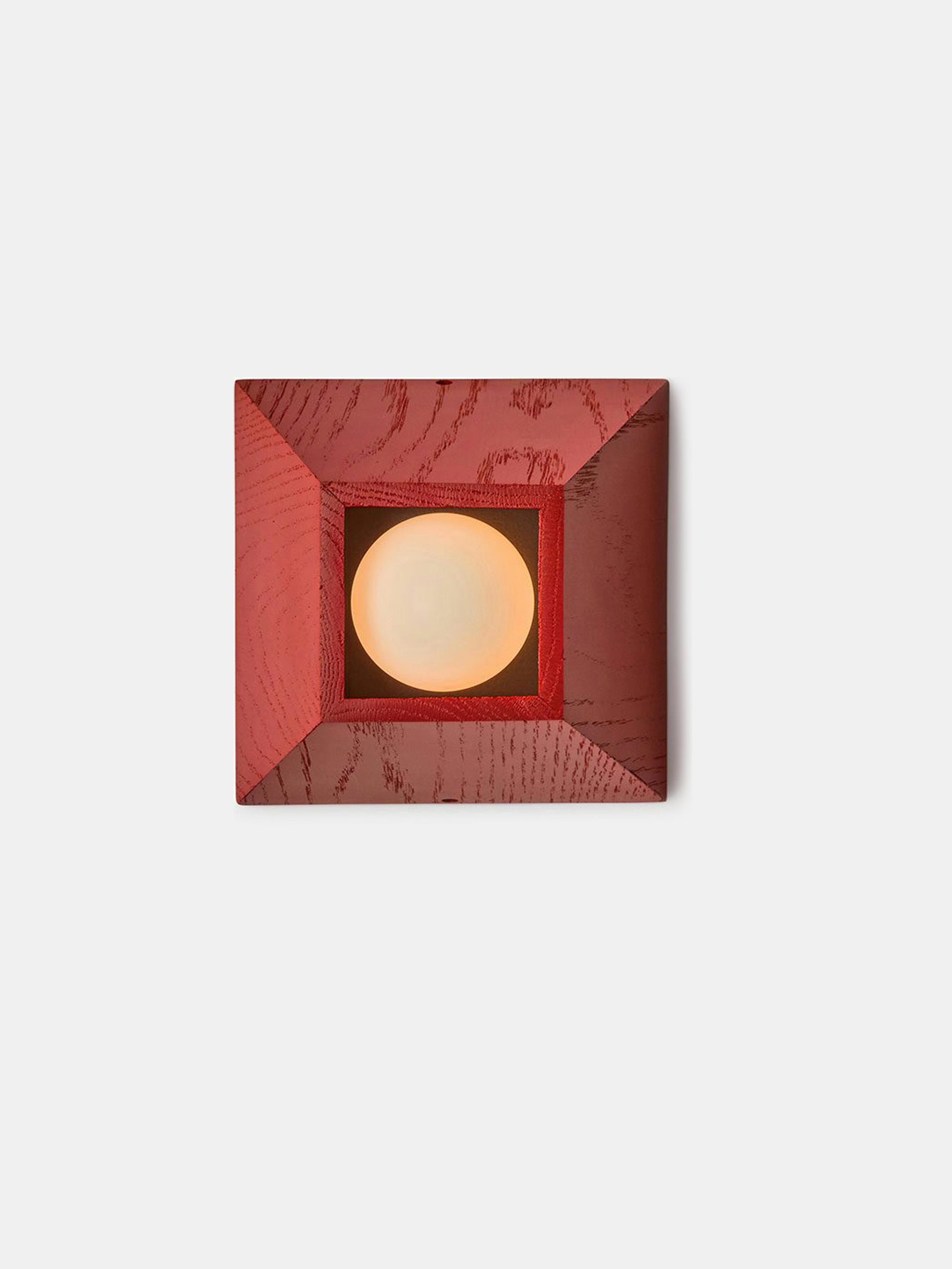 59749 3ade885404 Cannon Tomato Portrait